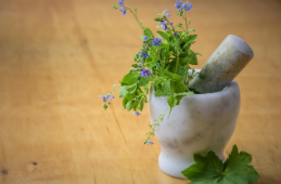 Herbal Medicine & Beyond: Benefits of Traditional Healthcare Systems