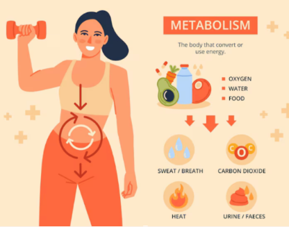 Everyday Habits for Maintaining a Healthy Metabolism