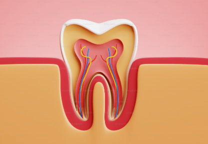 Oral Hygiene: A Gateway to Better Health