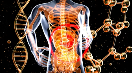 Your Environment Is Changing Your Body — Here’s How
