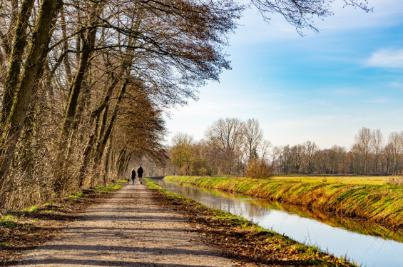 Step Outside: Why Spring Is the Perfect Time to Walk in the Sun
