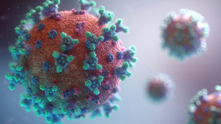 Part 1: The Science Behind the MV Hondius Hantavirus Outbreak