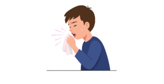 Can’t stop sneezing? Insight Into Your Allergies