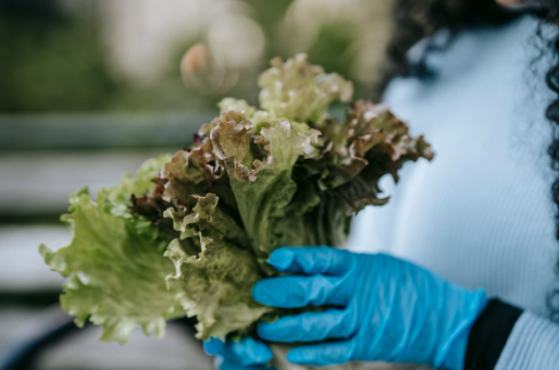 From Farm to Table: Understanding the Cyclospora Outbreak