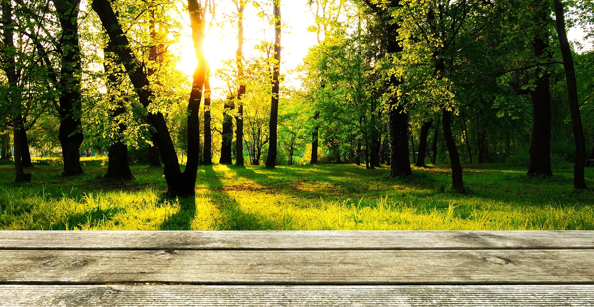 background-909387_1920.jpg