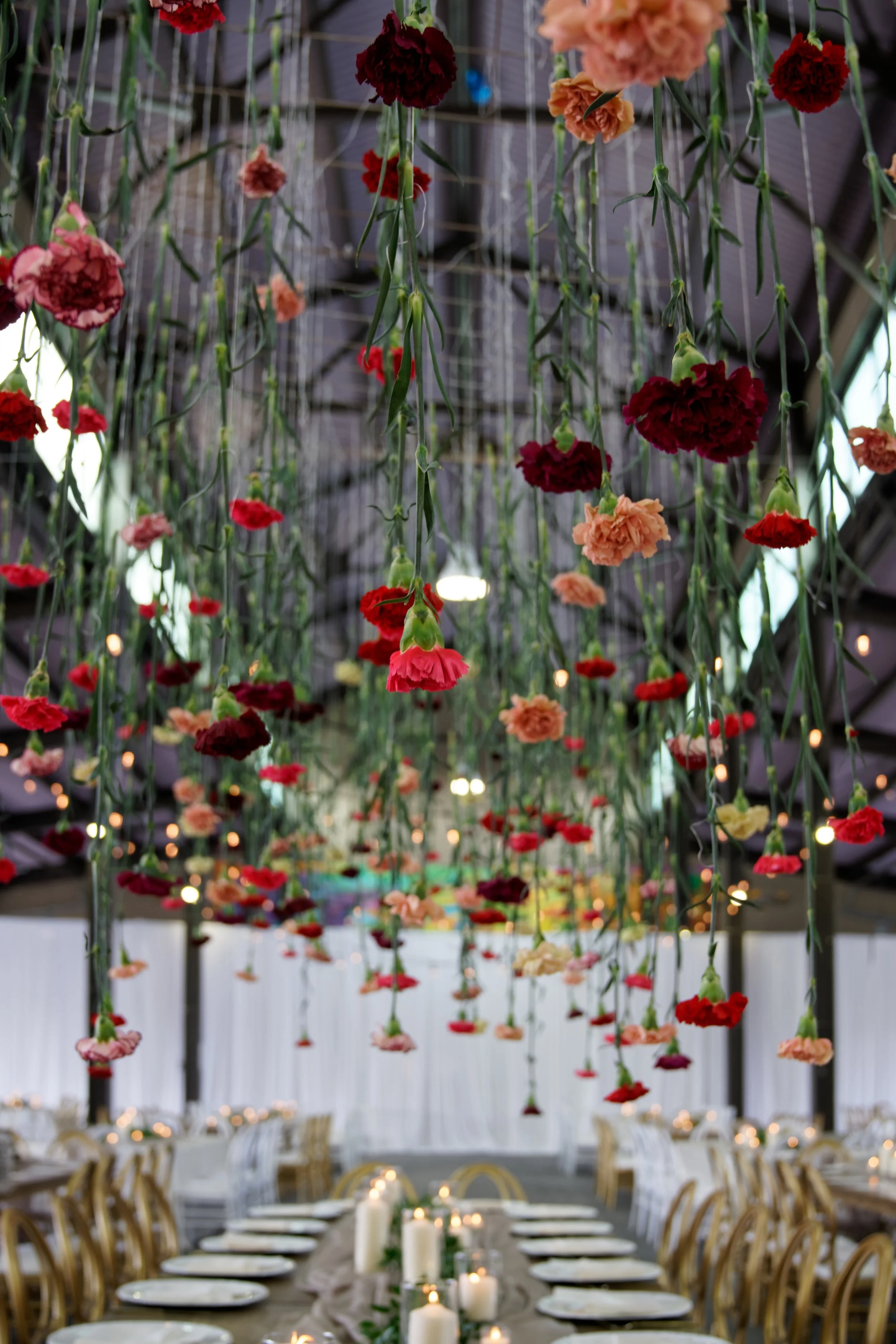 MM_04402[mm].jpg