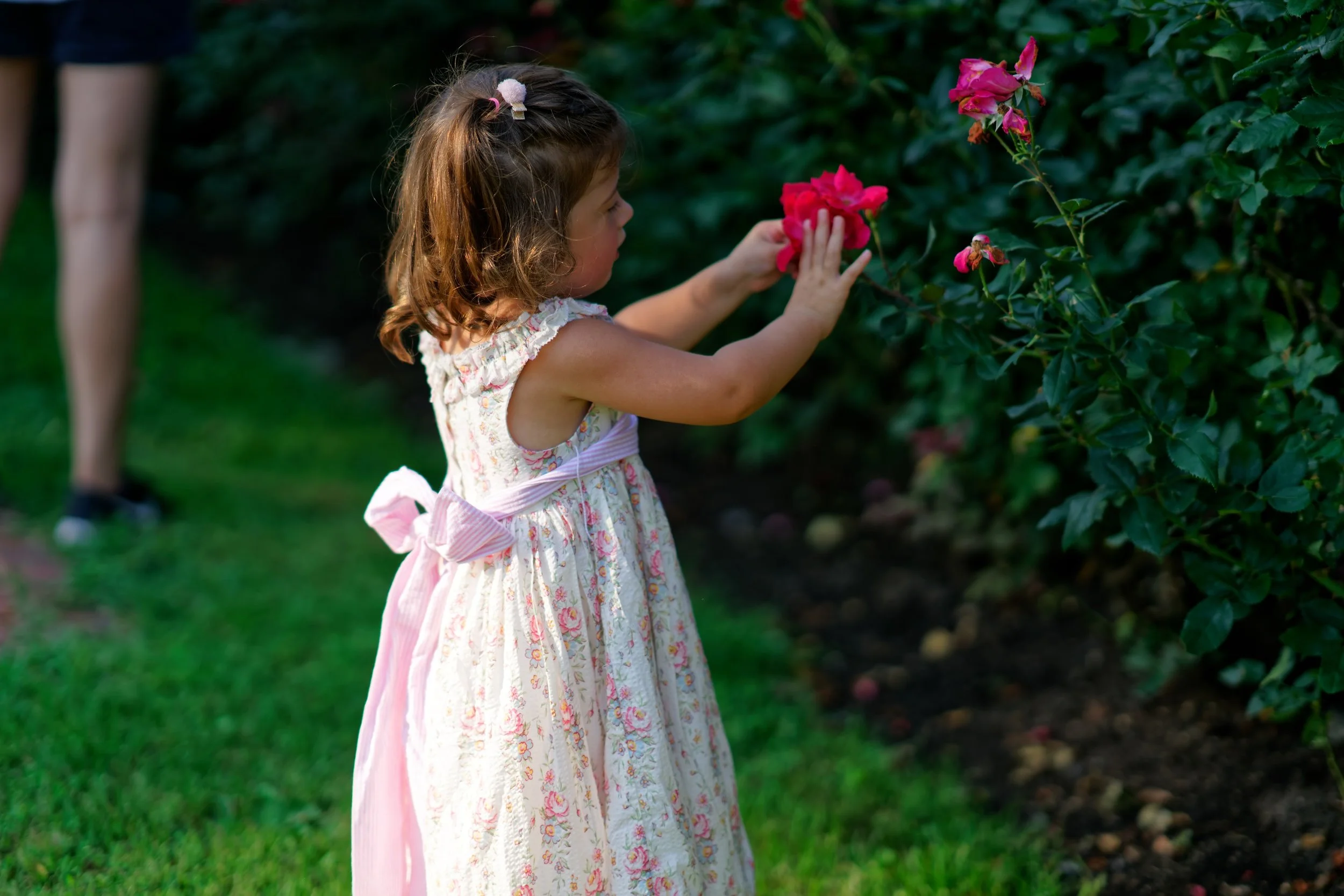 MM_03393_4k.jpg