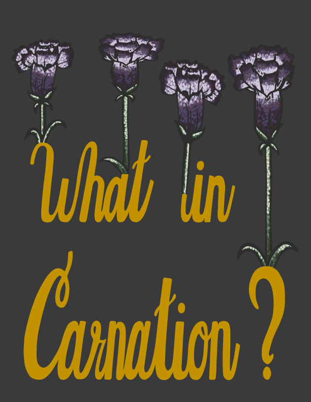 Carnation.png