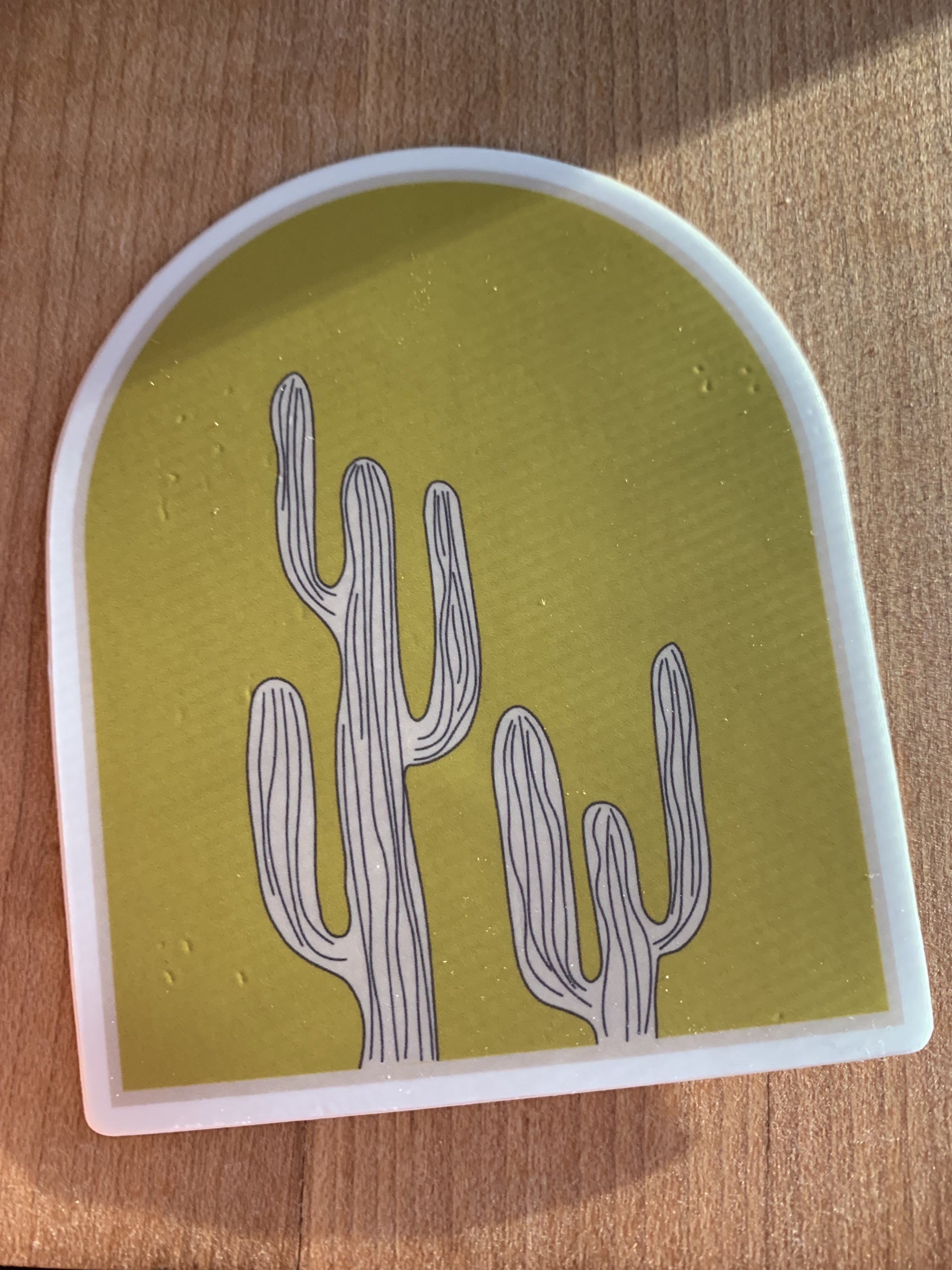 Cactus.jpg