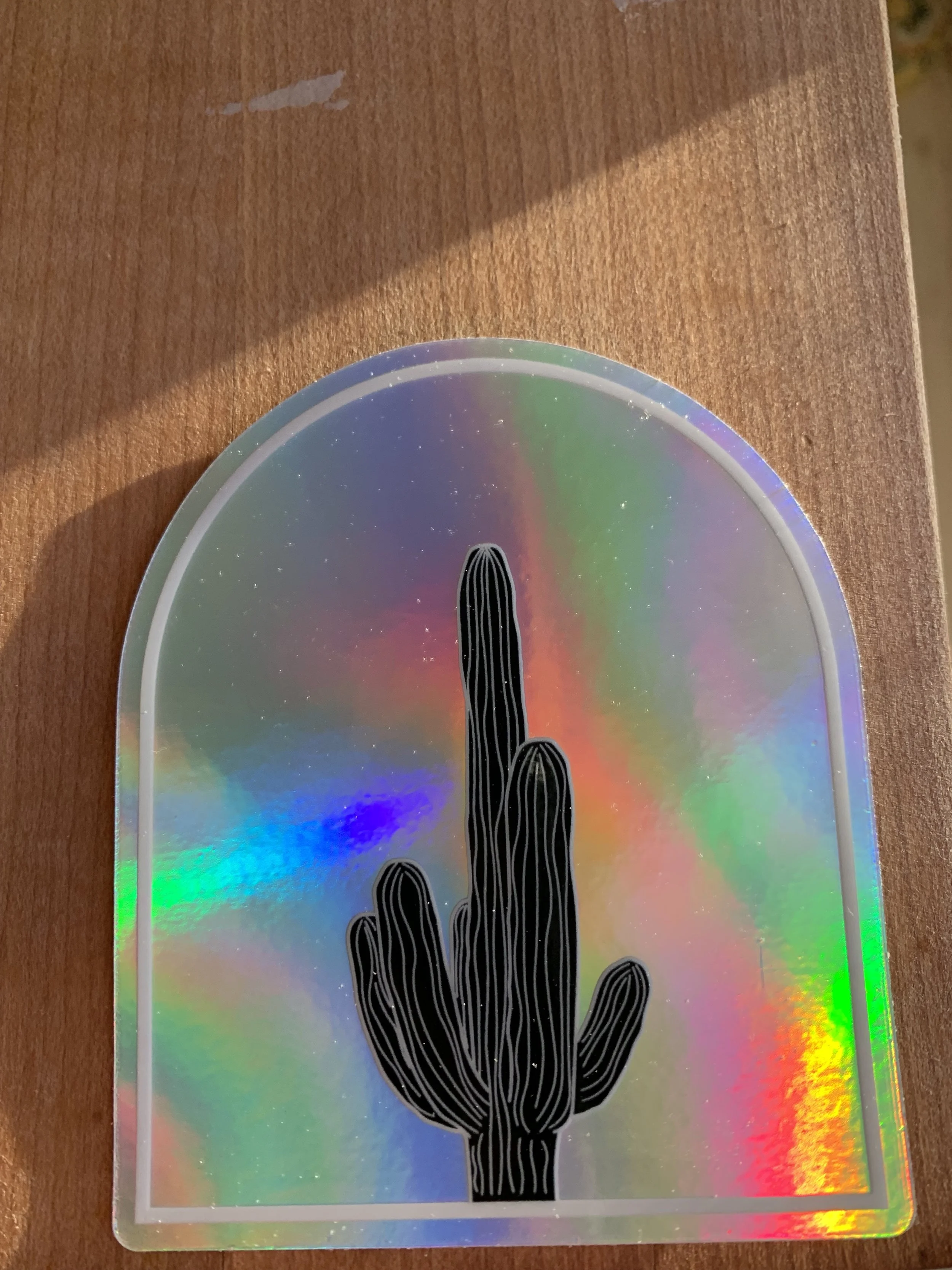 Saguaro2.jpg