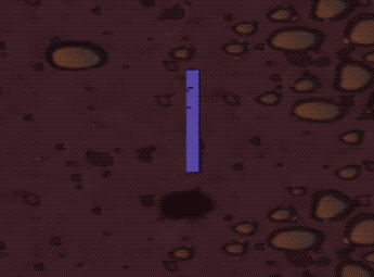 token-enemy2.gif