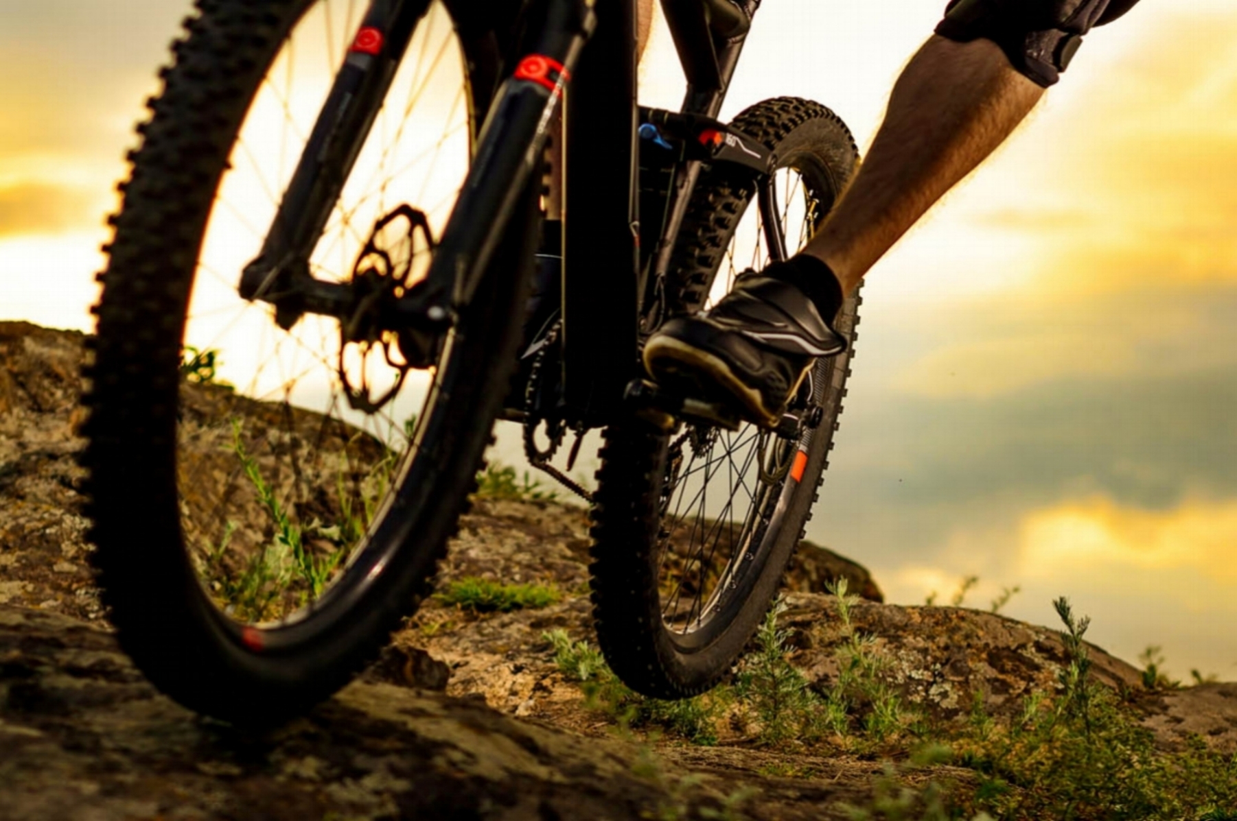 Trail Network Cropped.jpg