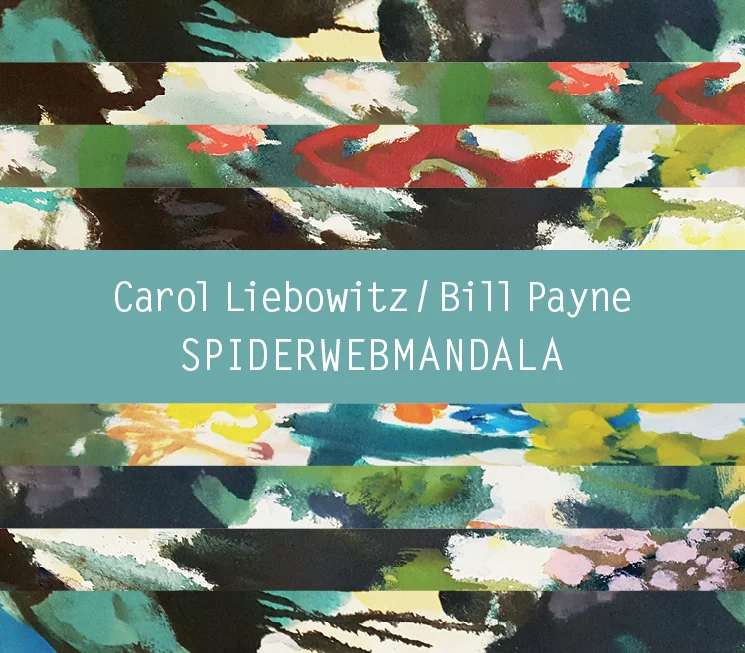 SPIDERWEBMANDALA Bill Payne/Carol Liebowitz