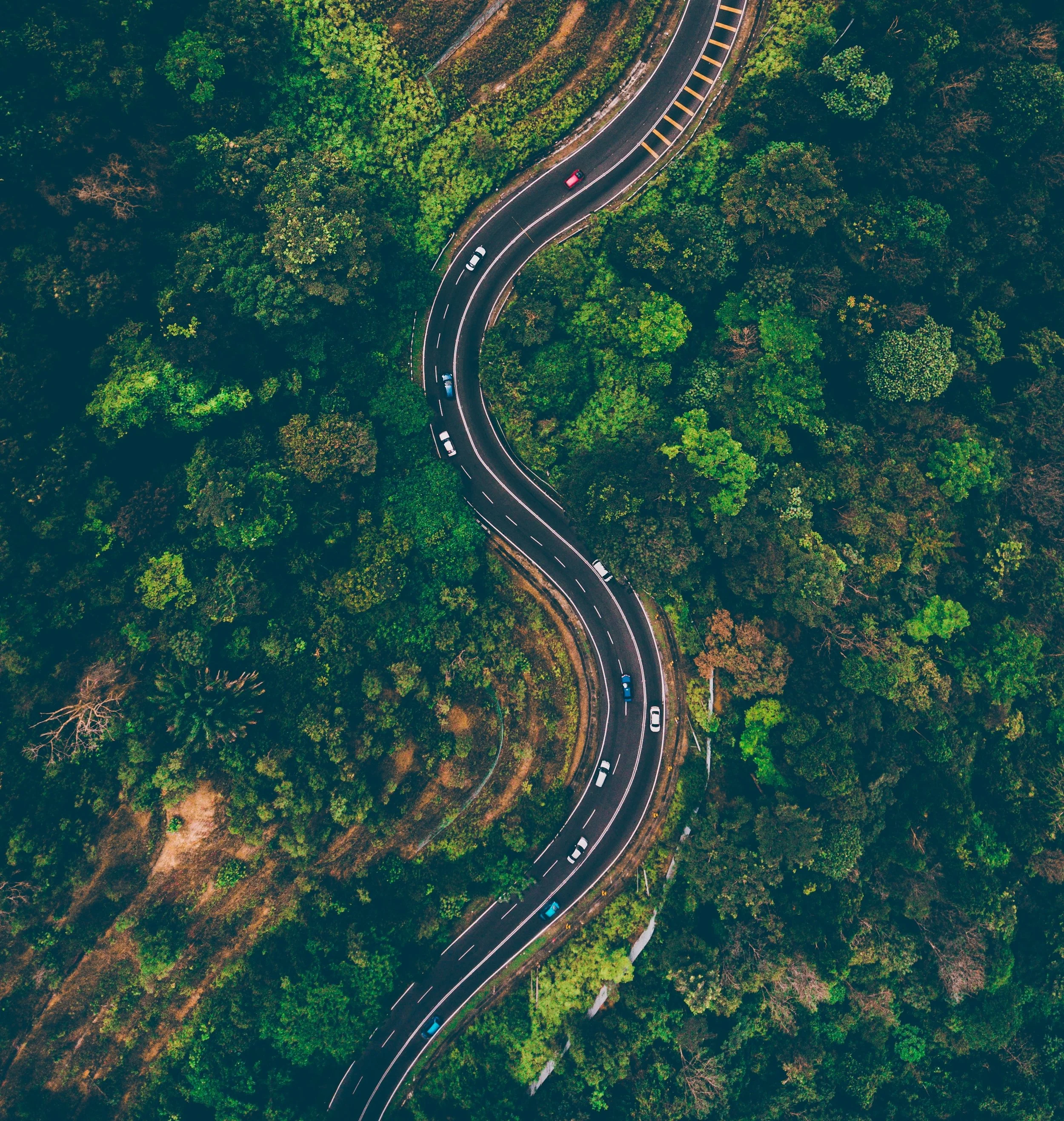 deva-darshan-503918-unsplash.jpg