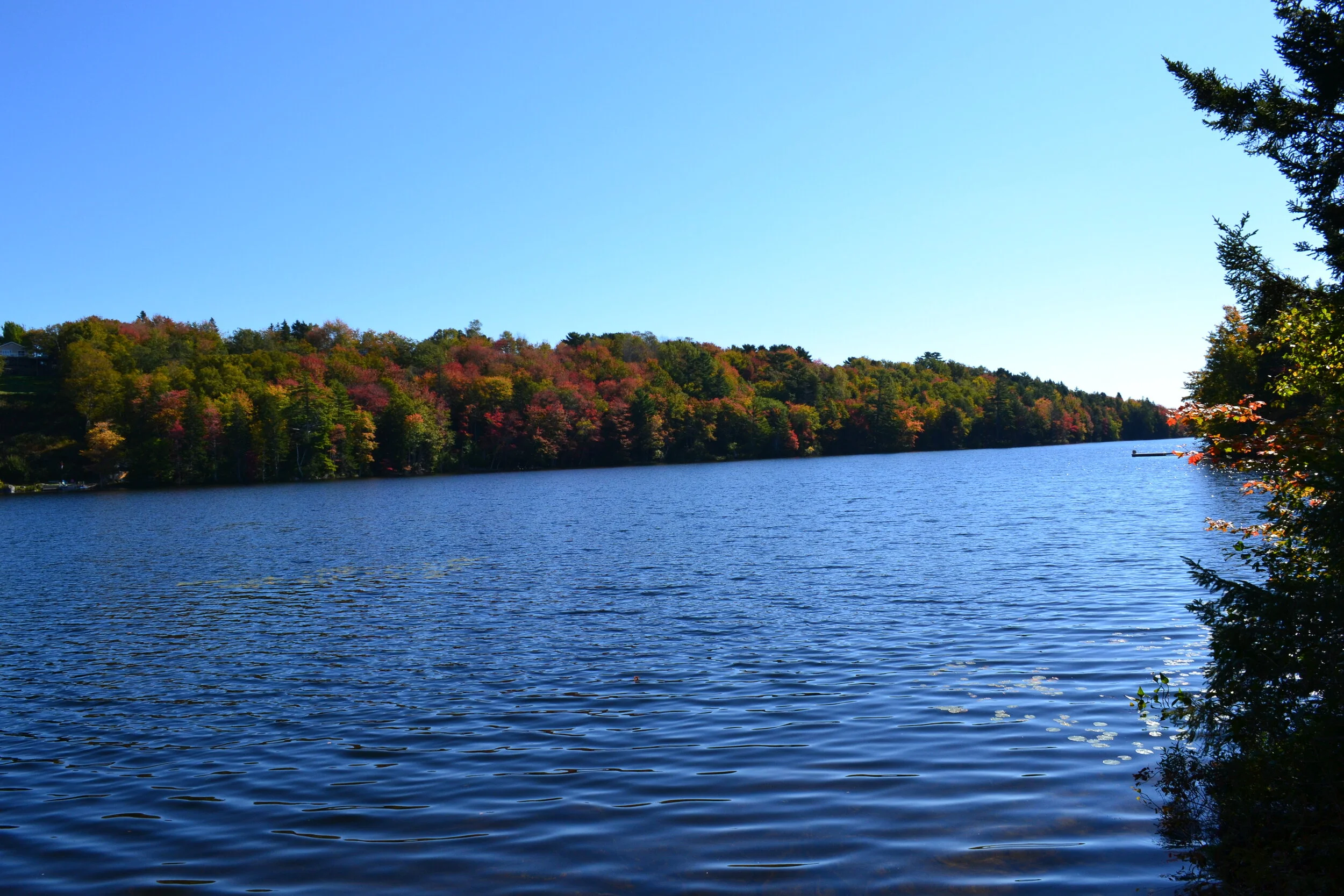 DSC_0521.JPG