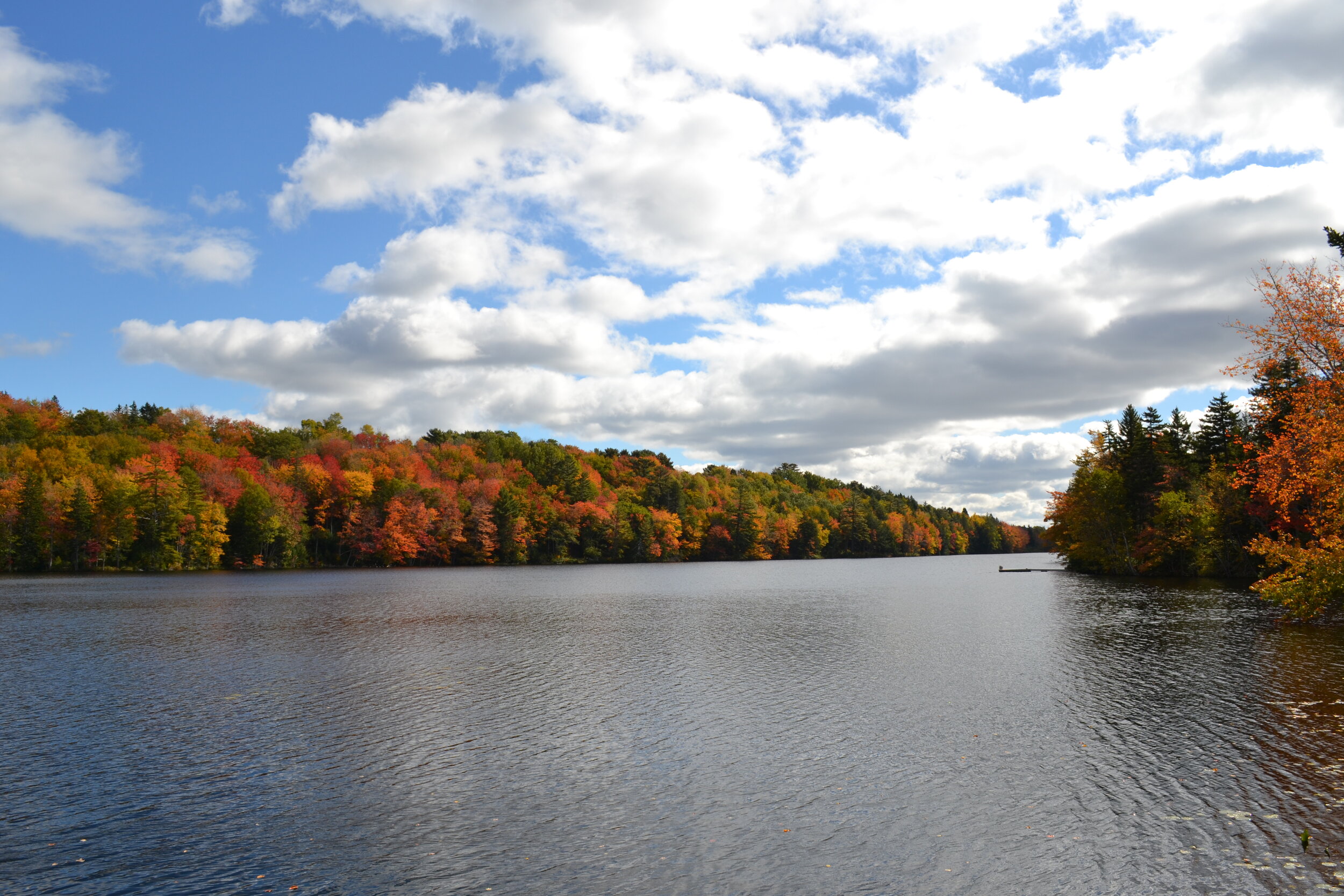 lake picture.JPG