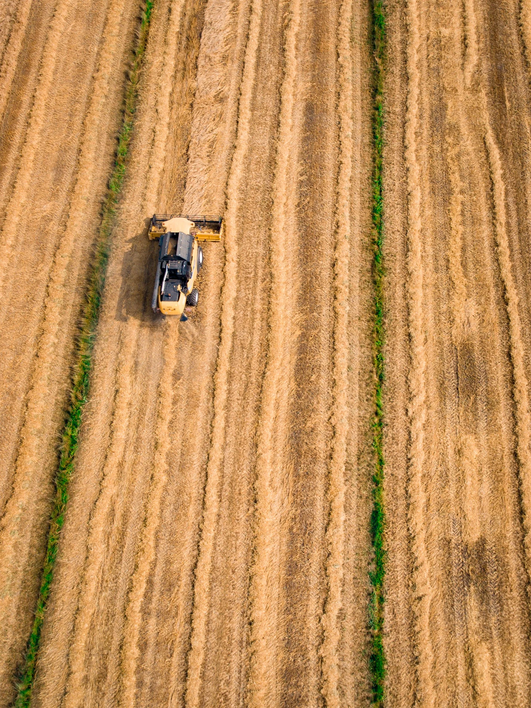 Global seaborne grain trade