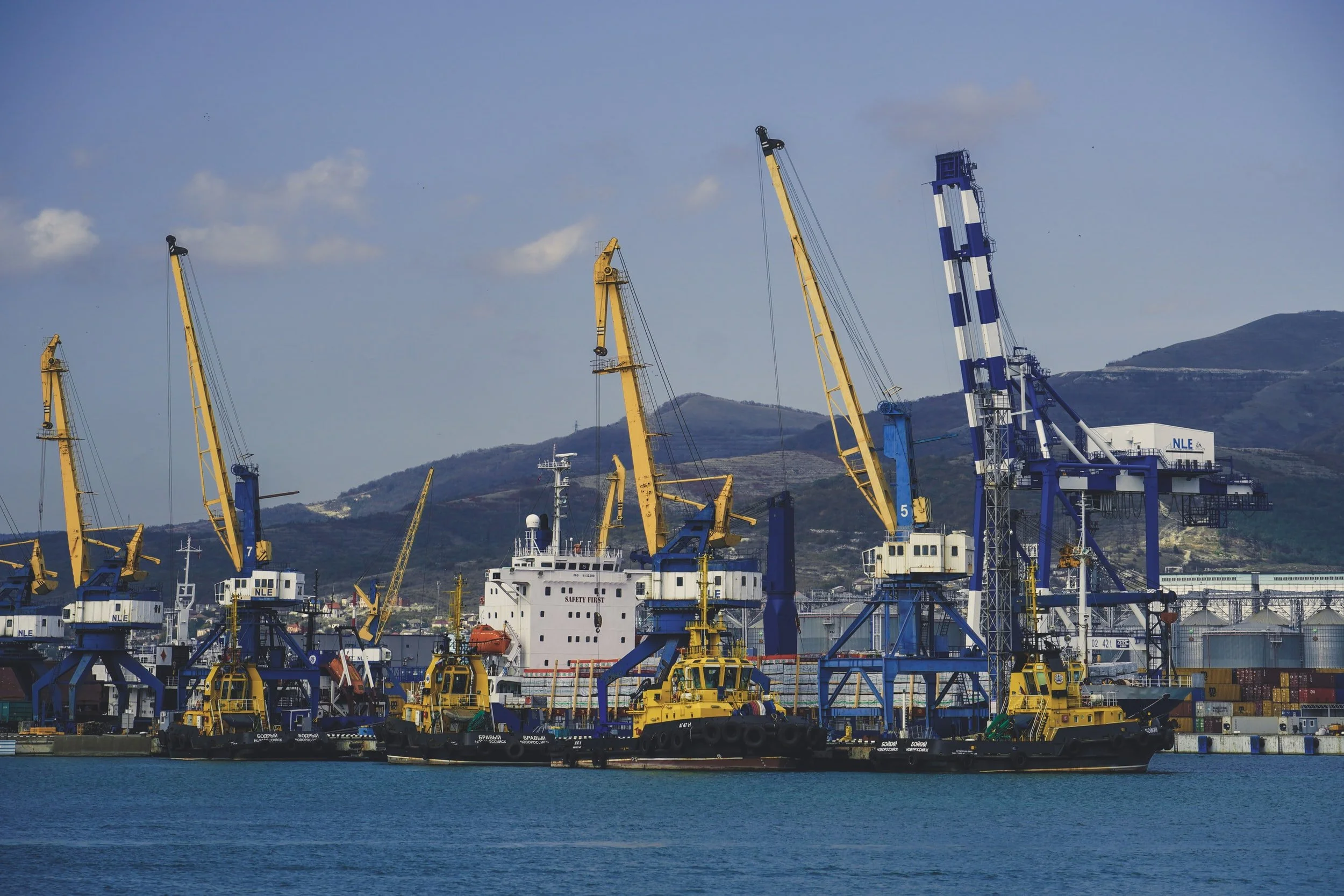 Sanctions and Trade Disruptions