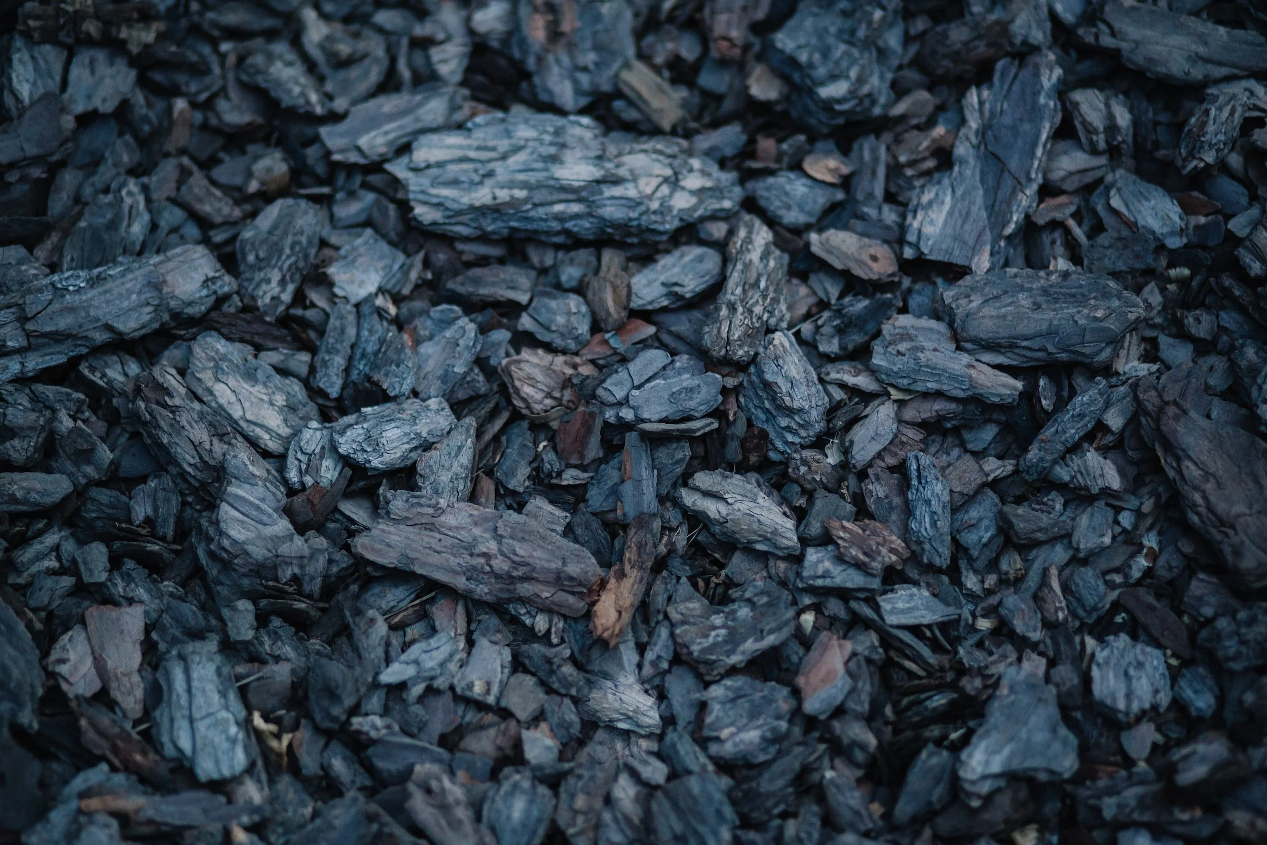 Strength in India's Coal Production and Electricity Production