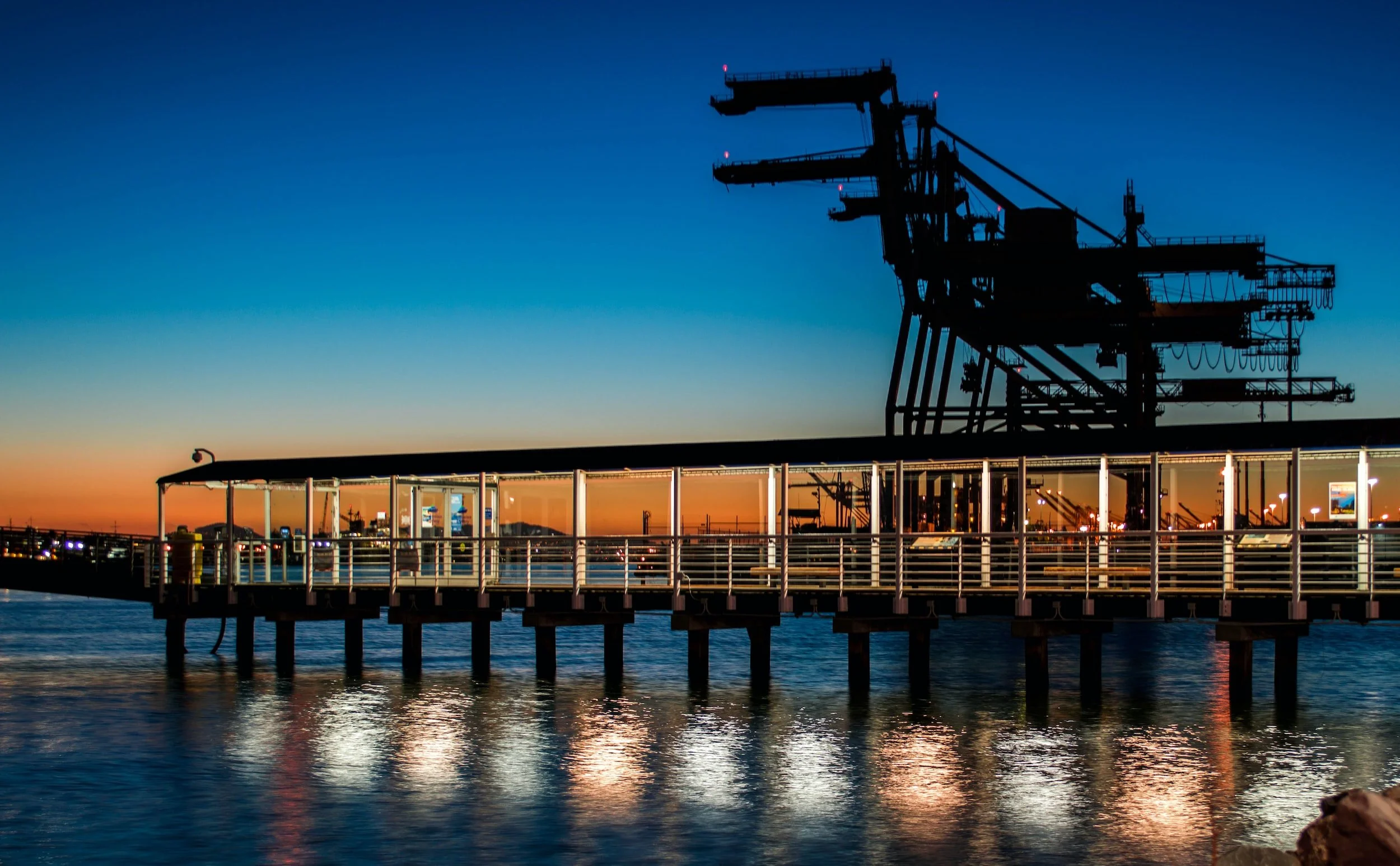 Crude oil gains as OPEC casts an optimistic tone on demand