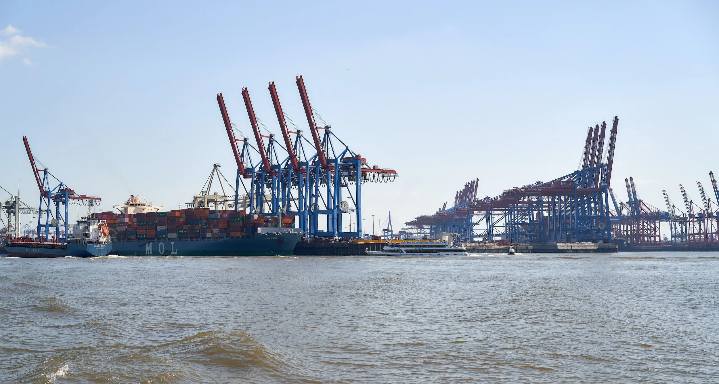 Shipfix - Global Market Update