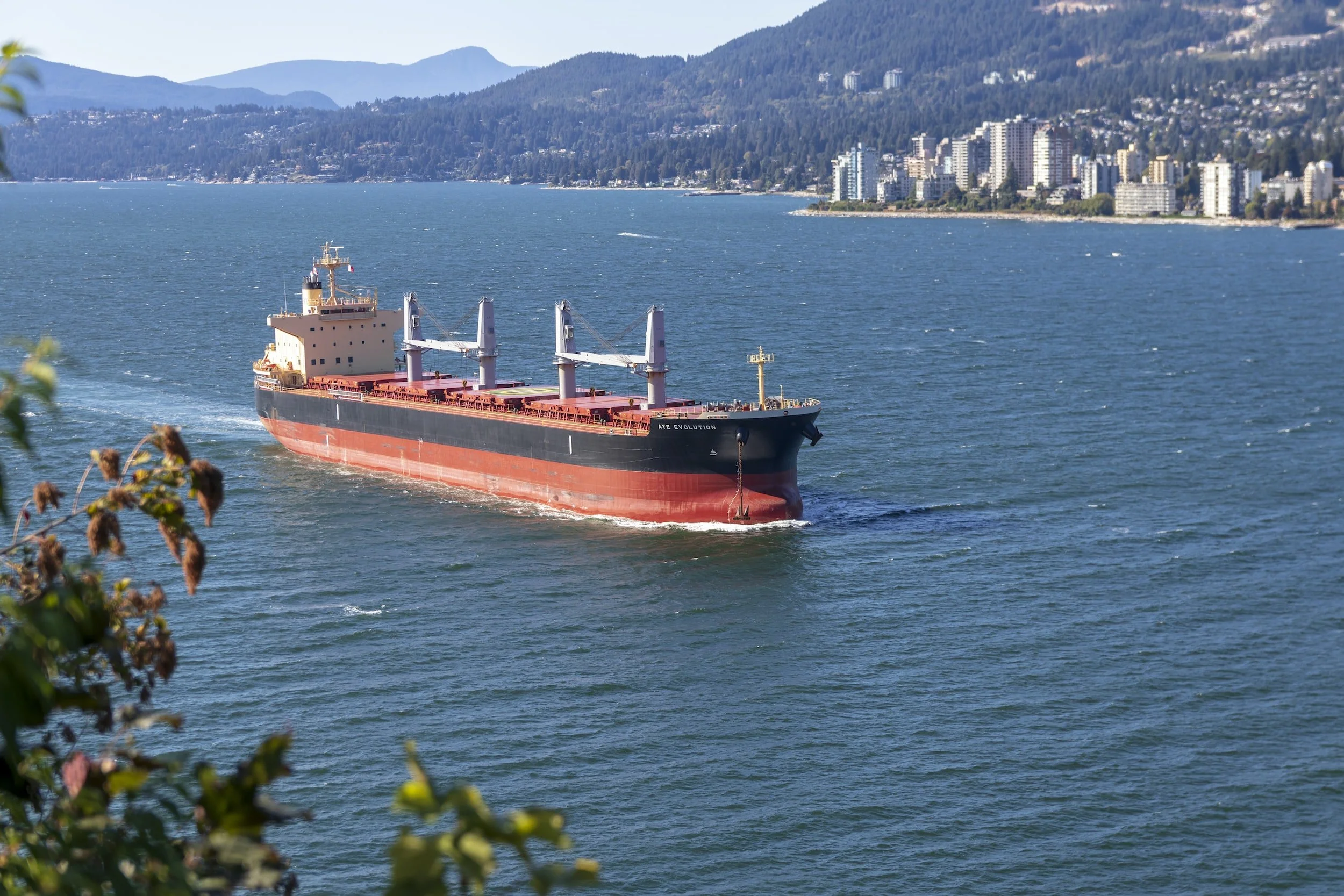 Signal Dry Bulk Weekly Report