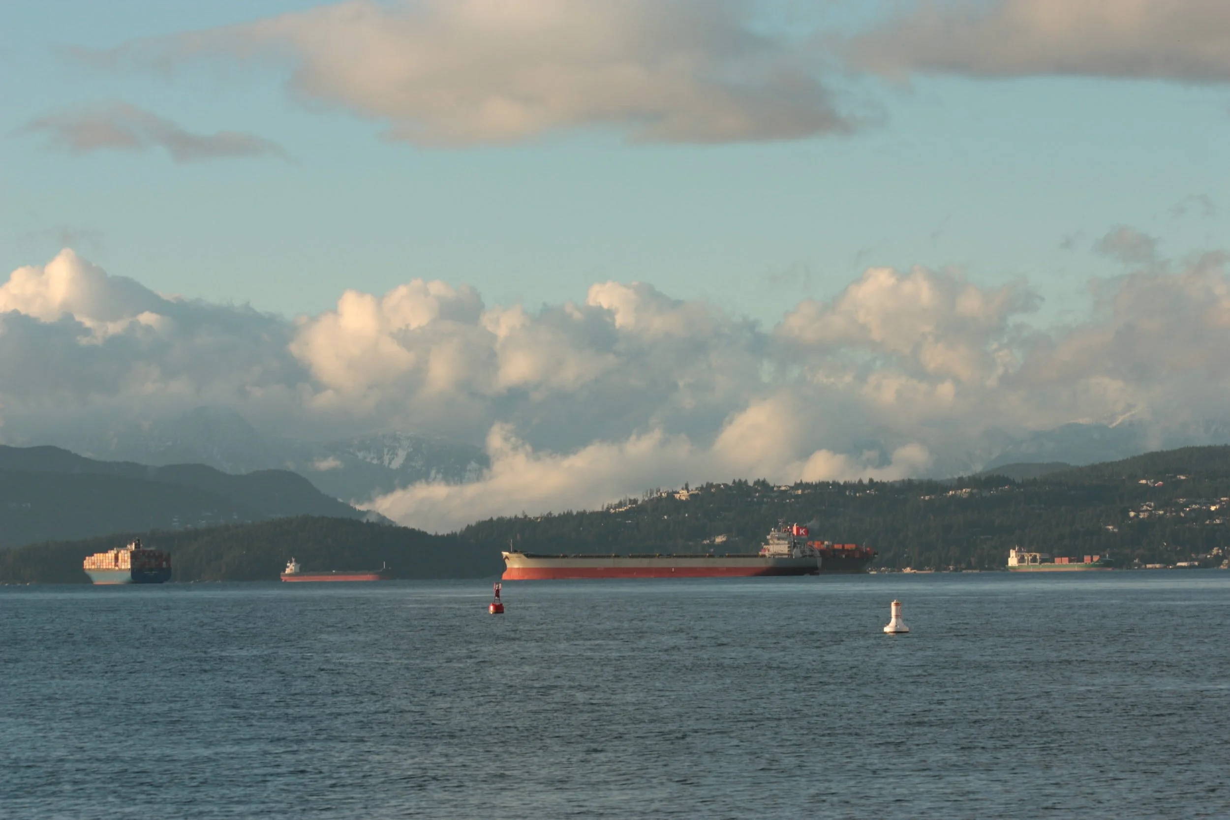 Braemar Weekly Dry Market Report