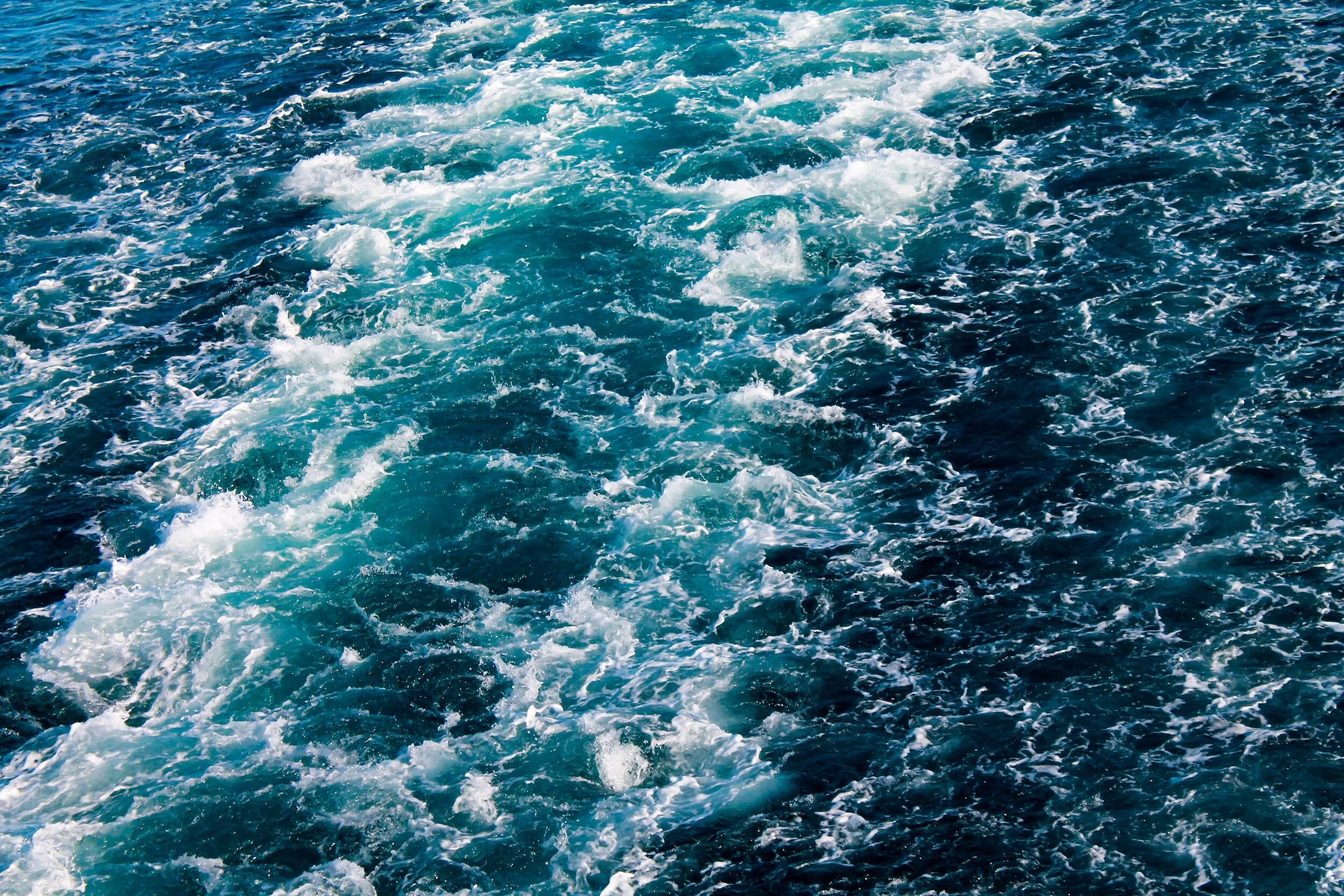Signal Dry Bulk Weekly Report