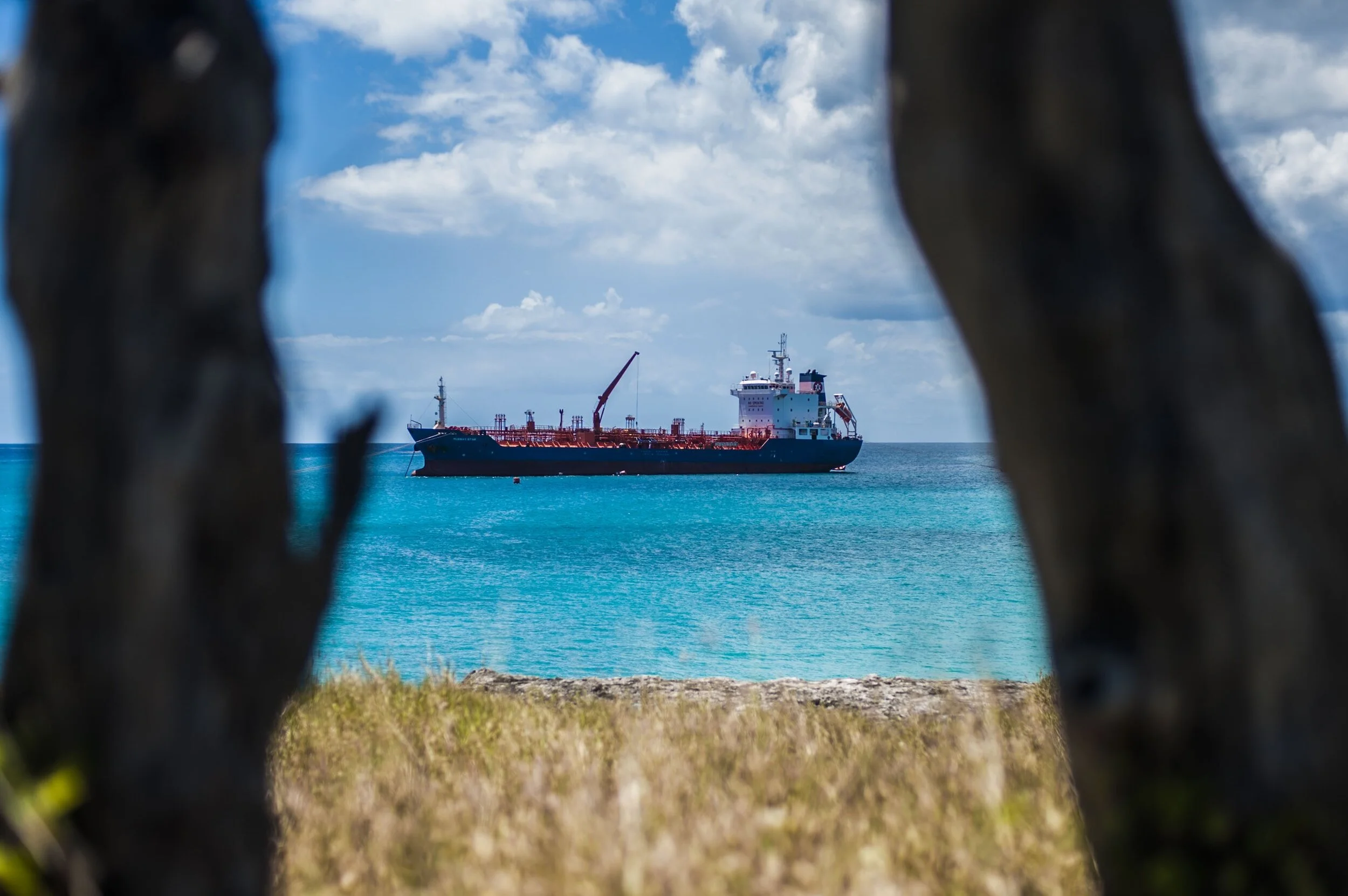 Signal Tanker Weekly Report