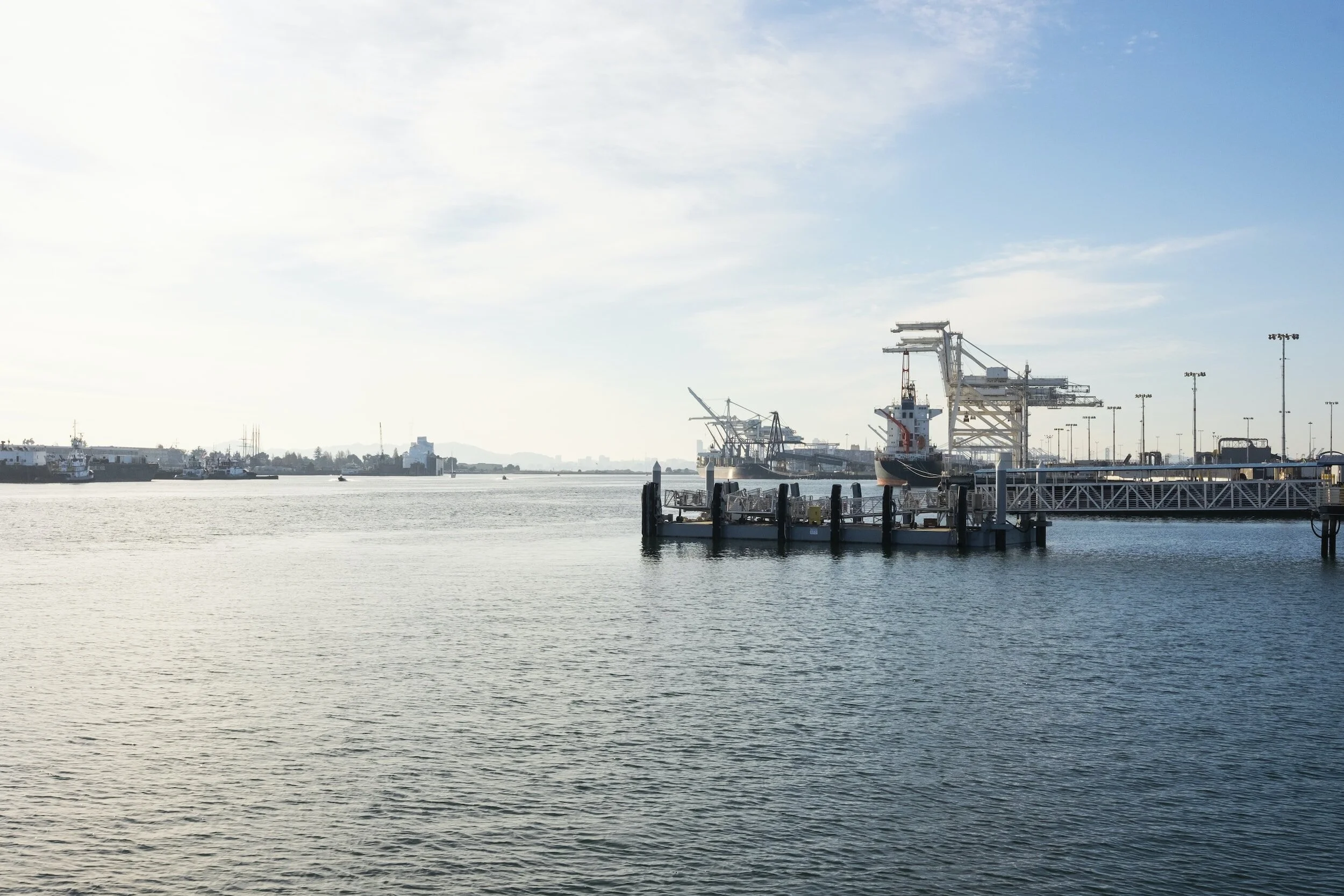 Shipfix - Global Market Update