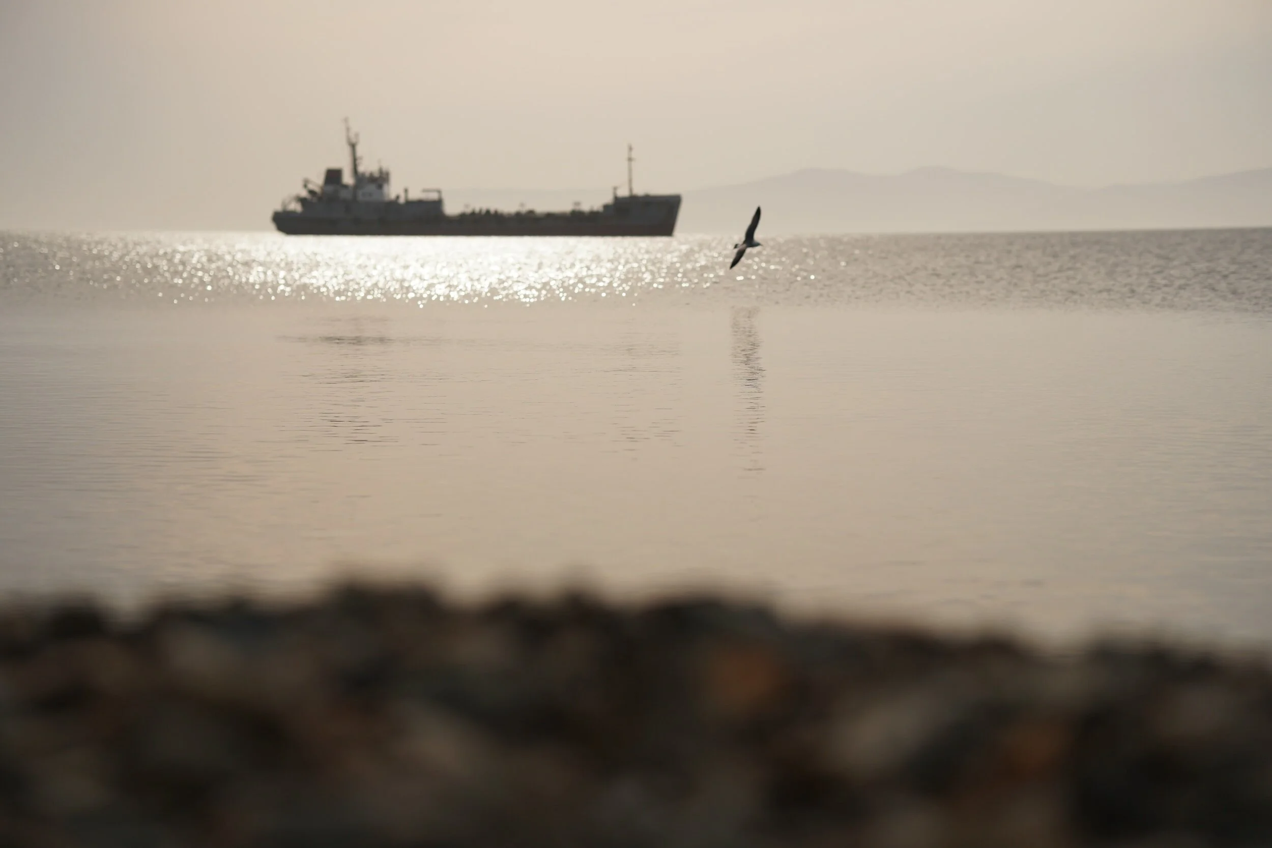 Signal Tanker Weekly Report