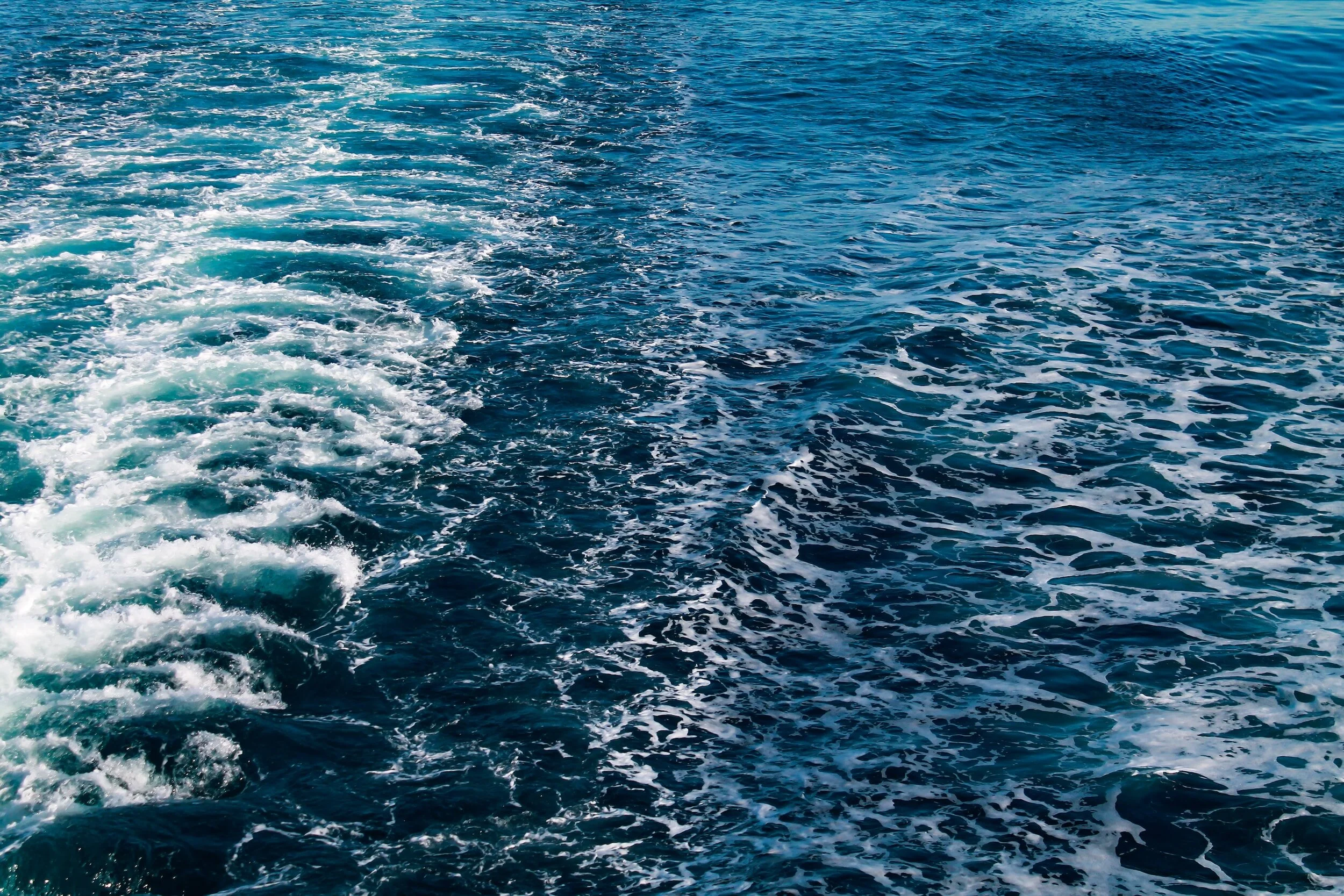 Signal Dry Bulk Weekly Report