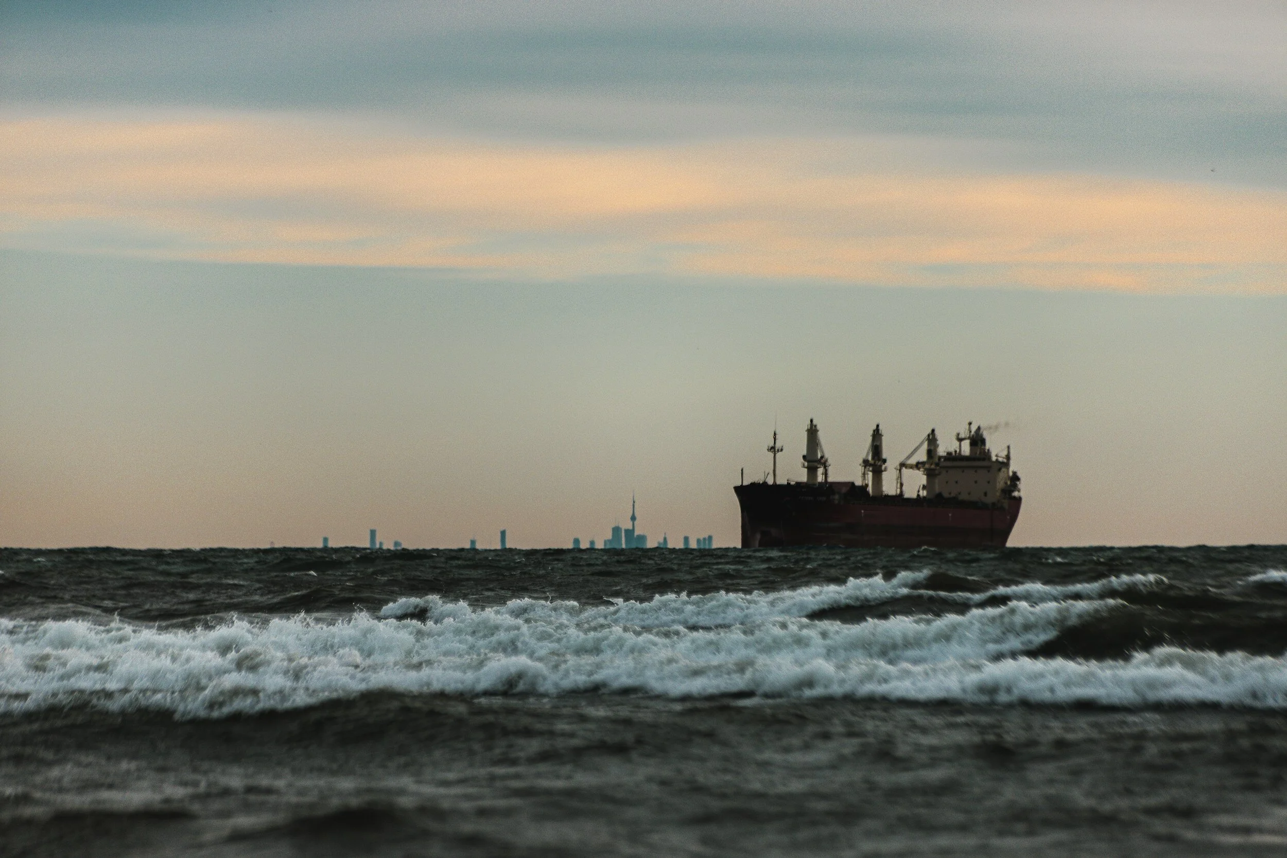 Signal Dry Bulk Weekly Report