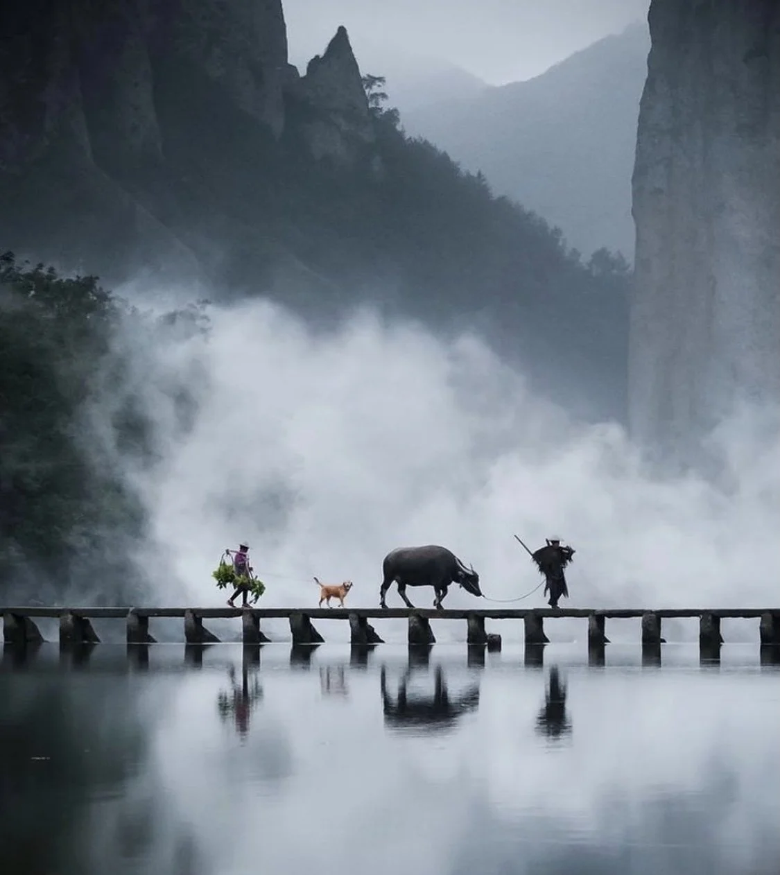 Doric Weekly Market Insight