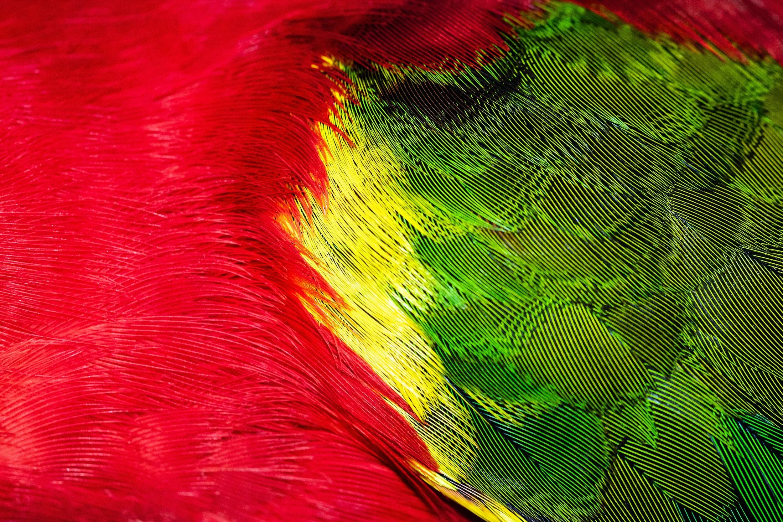 The Big Picture: Events shaping bauxite trades