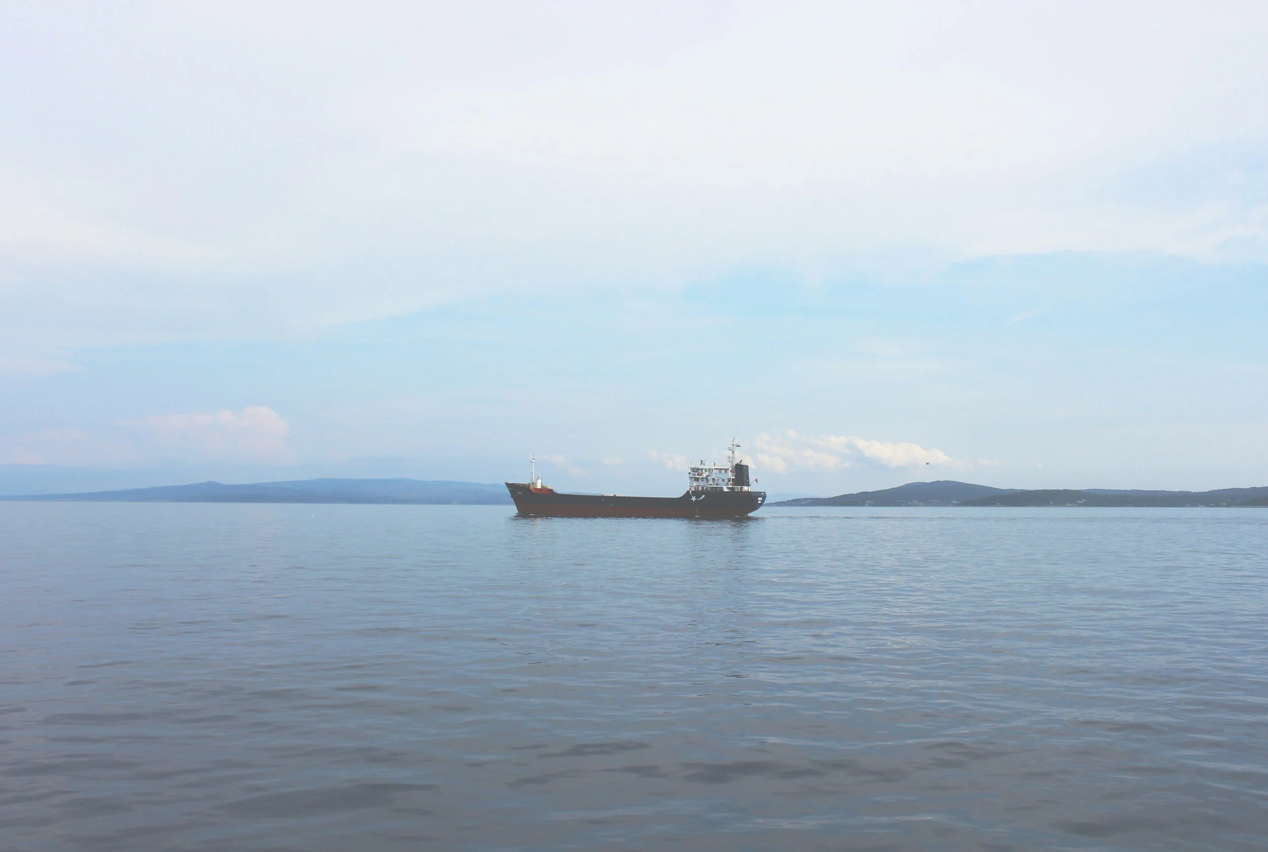 Weekly Insights Review