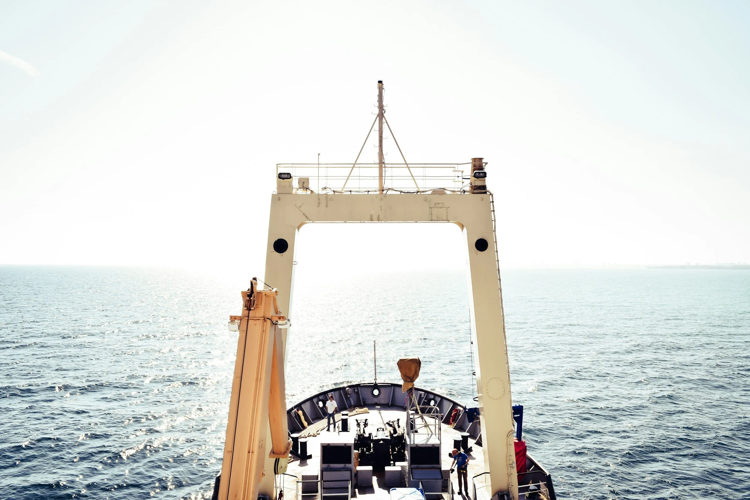 Weekly Insights Review