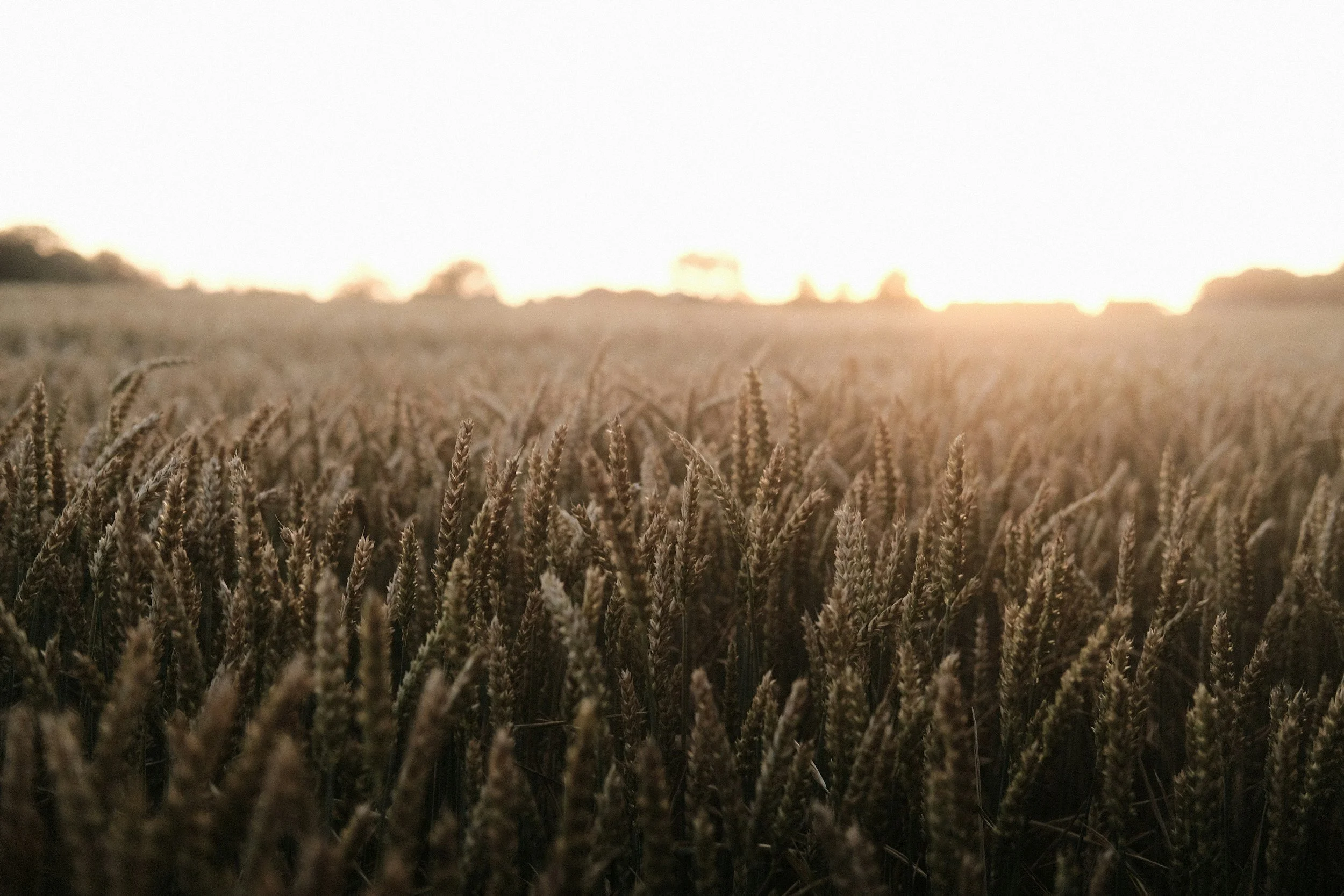 unsplash-image-ZHCzTgbMY2w.jpg