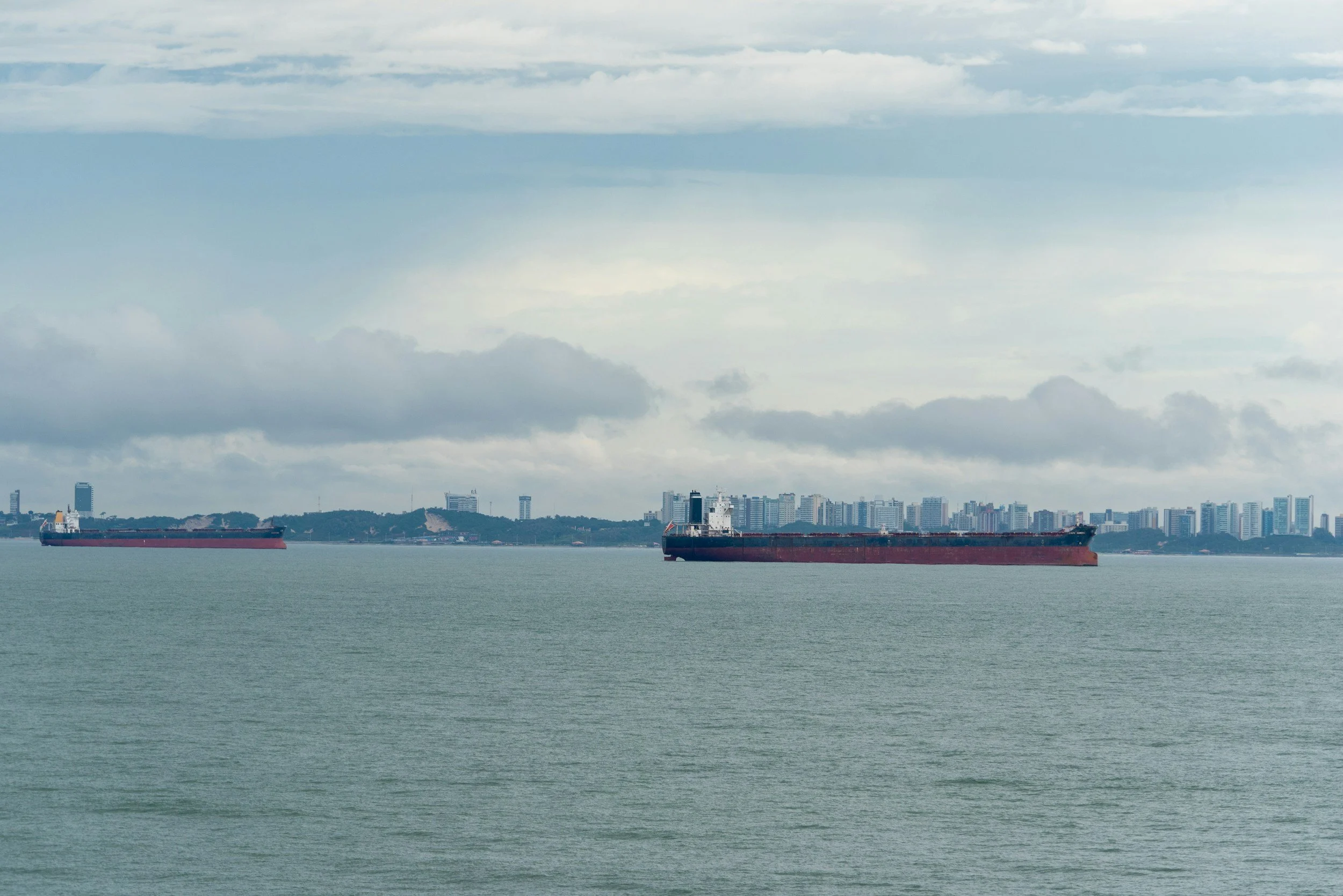Recent Jump in Reported Dry Bulk Spot Cargoes