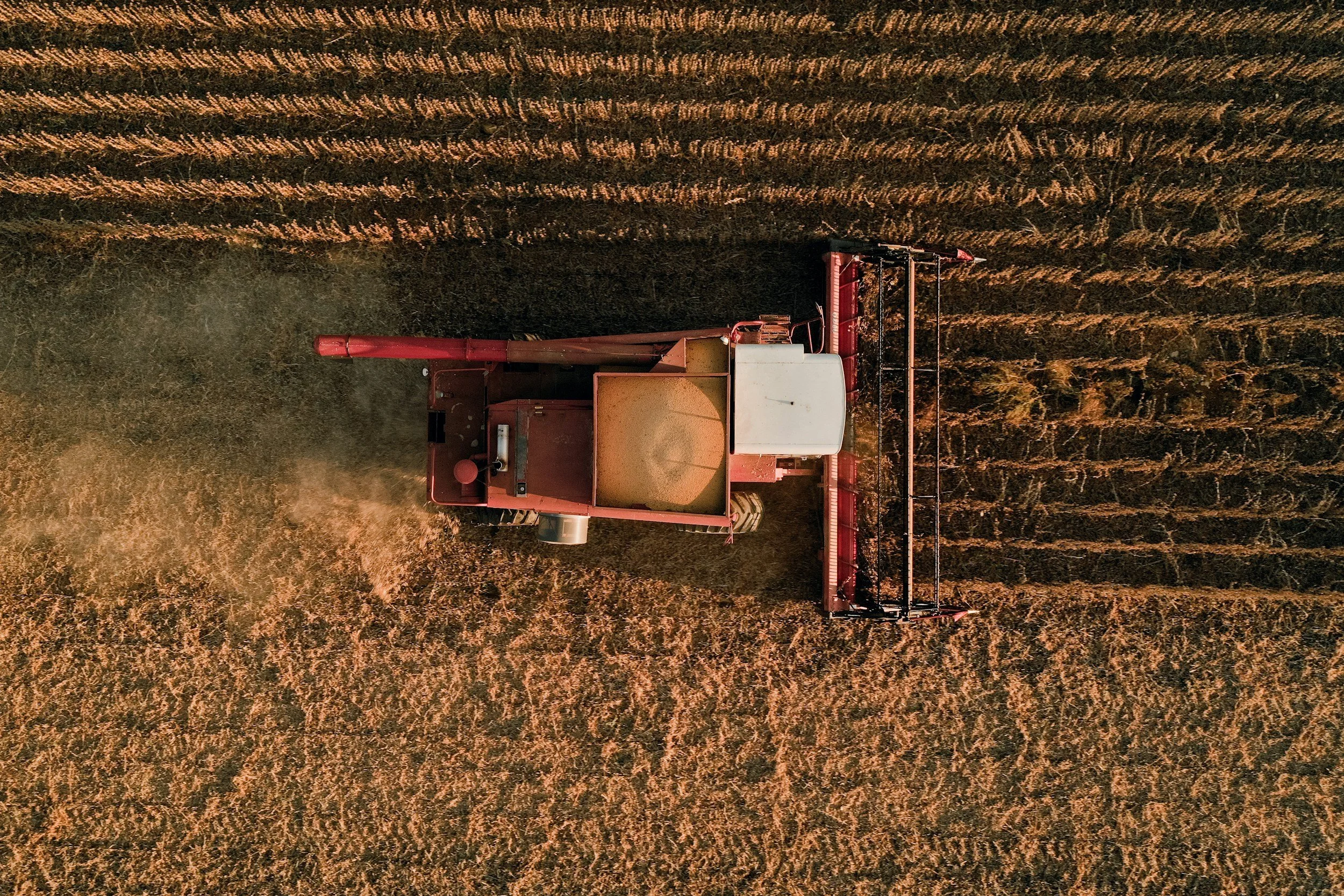  Soybean  Dry Bulk Flows