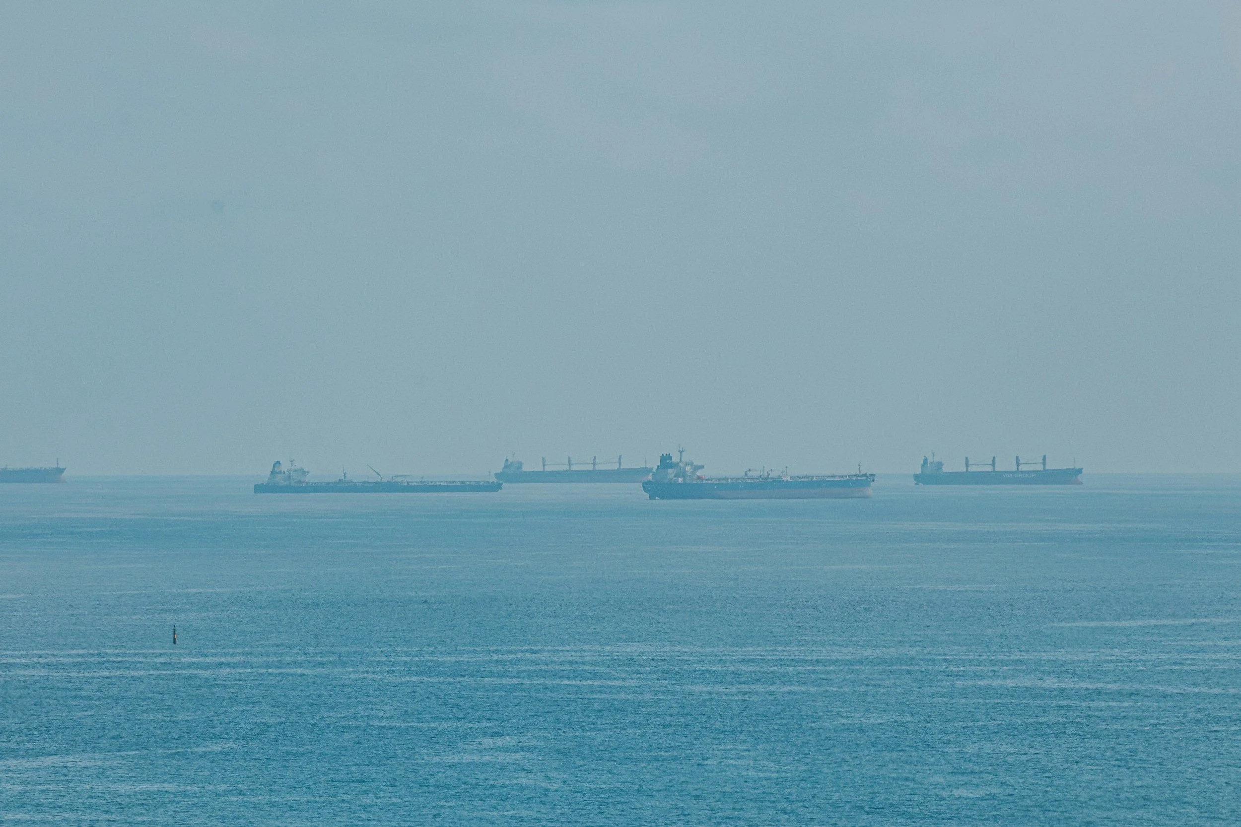 Dry Bulk Segments