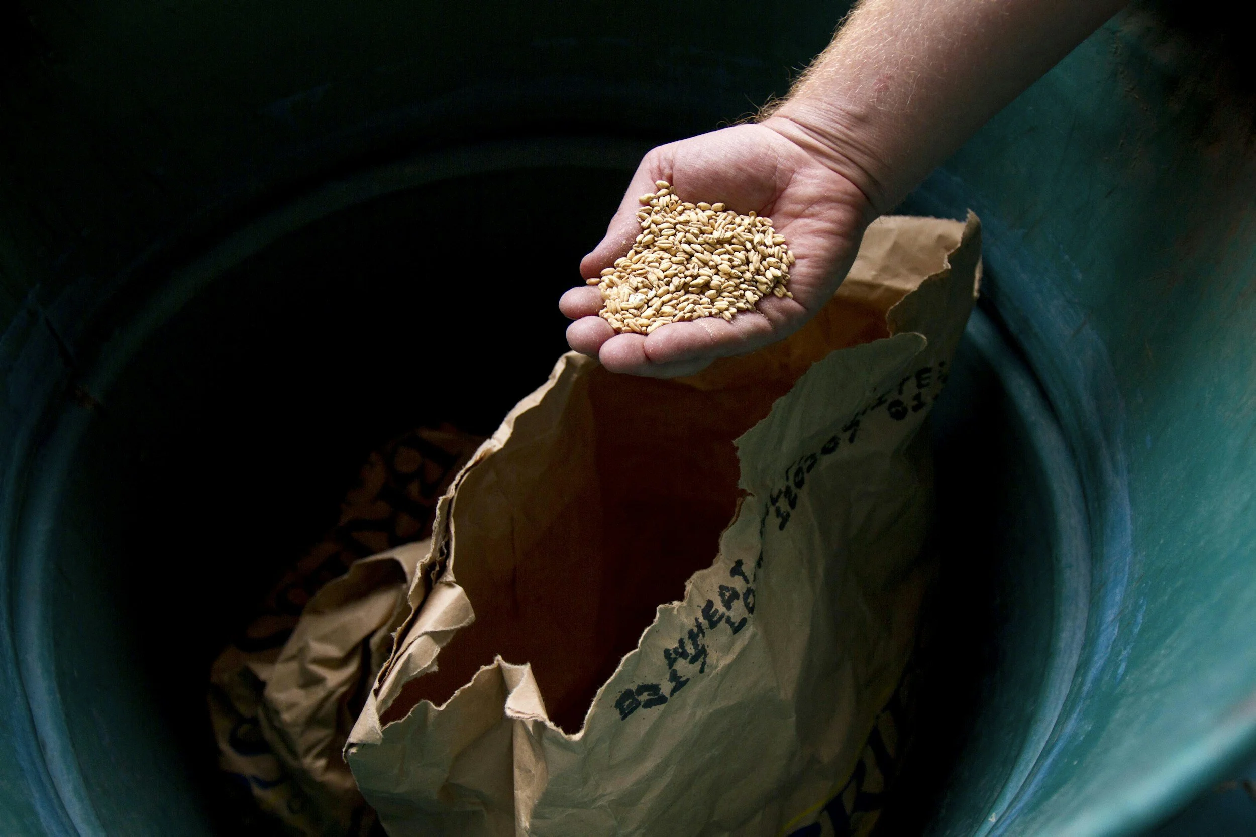 Global Grain Export Forecast Raised Again