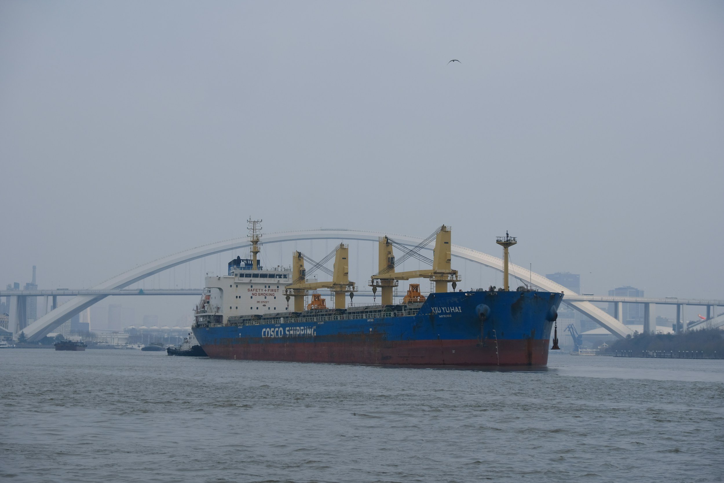 Dry Bulk market on a stronger footing
