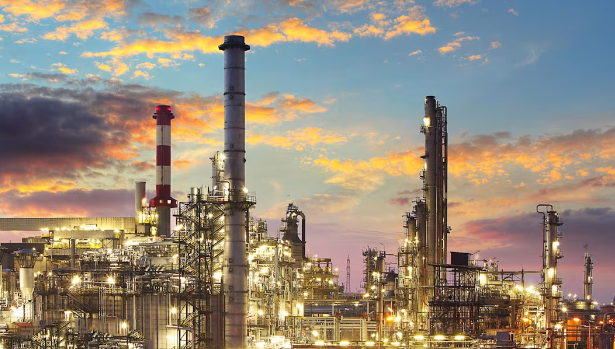 India crude imports set to remain elevated in January