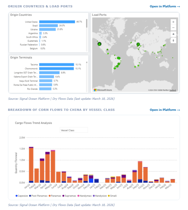 Στιγμιότυπο οθόνης 2026-03-20 113725.png