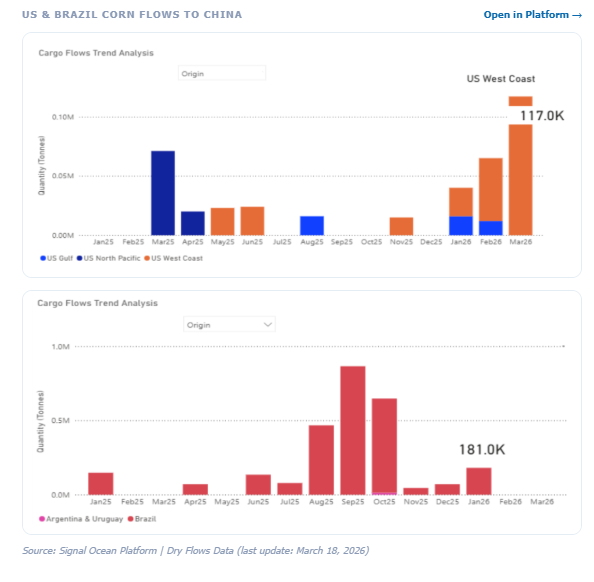 Στιγμιότυπο οθόνης 2026-03-20 113743.png