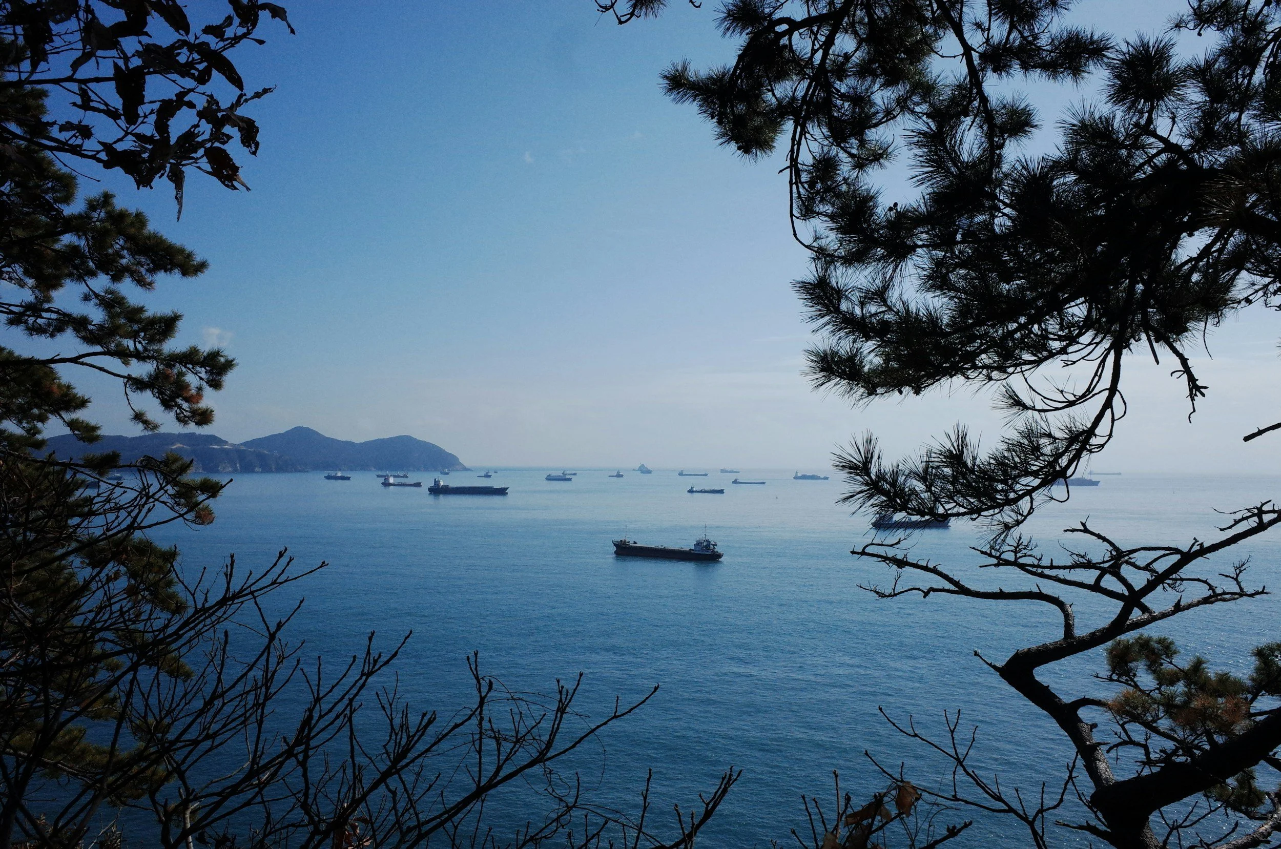 The LNG carrier market