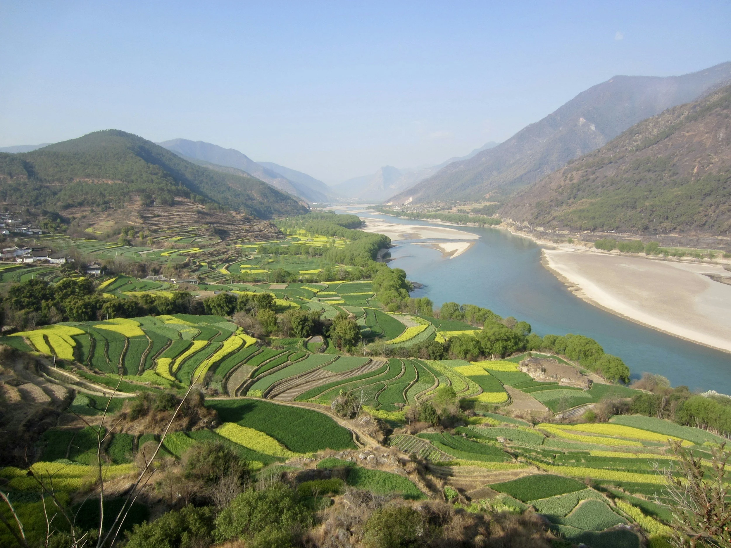 Agricultural markets
