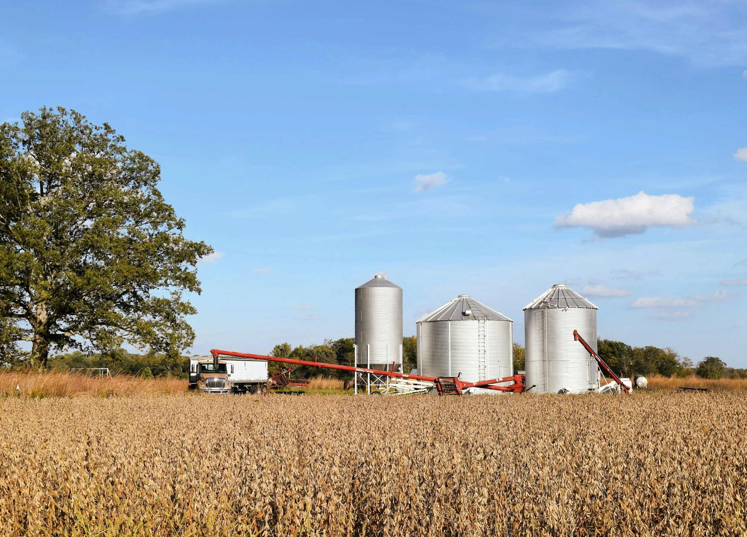 Upcoming Contraction in Global Grain Exports Still Expected