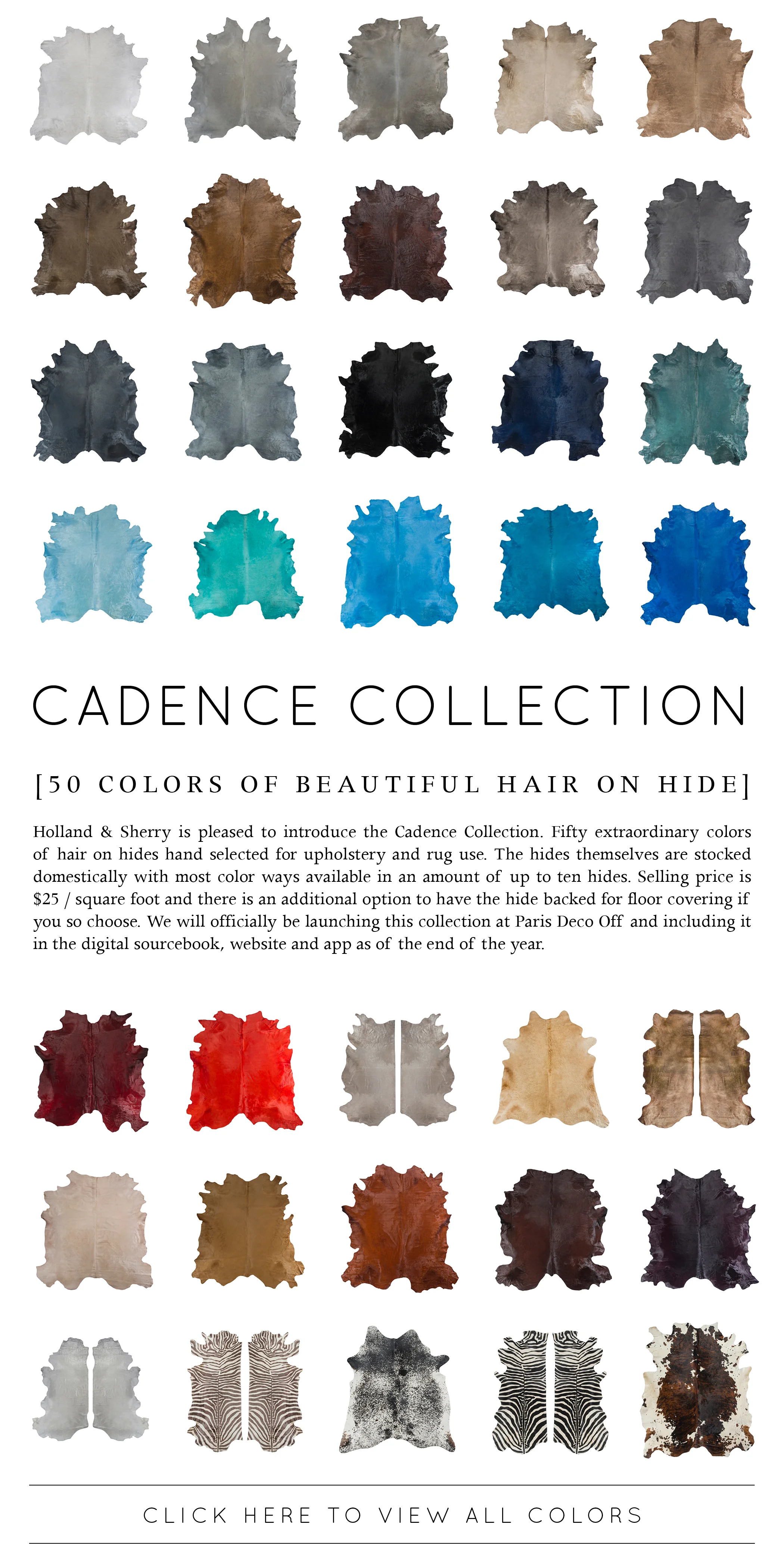 6. cadence intro blast.jpg